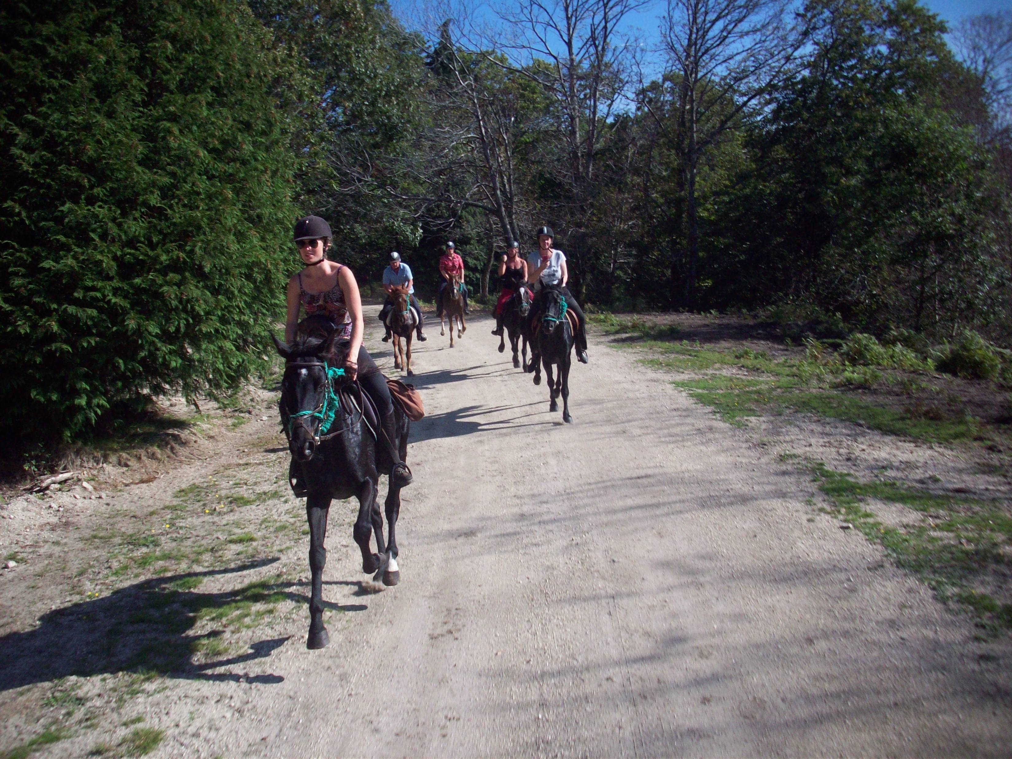 The Wild North Trail - horseXperiences™ GO EQUESTRIAN