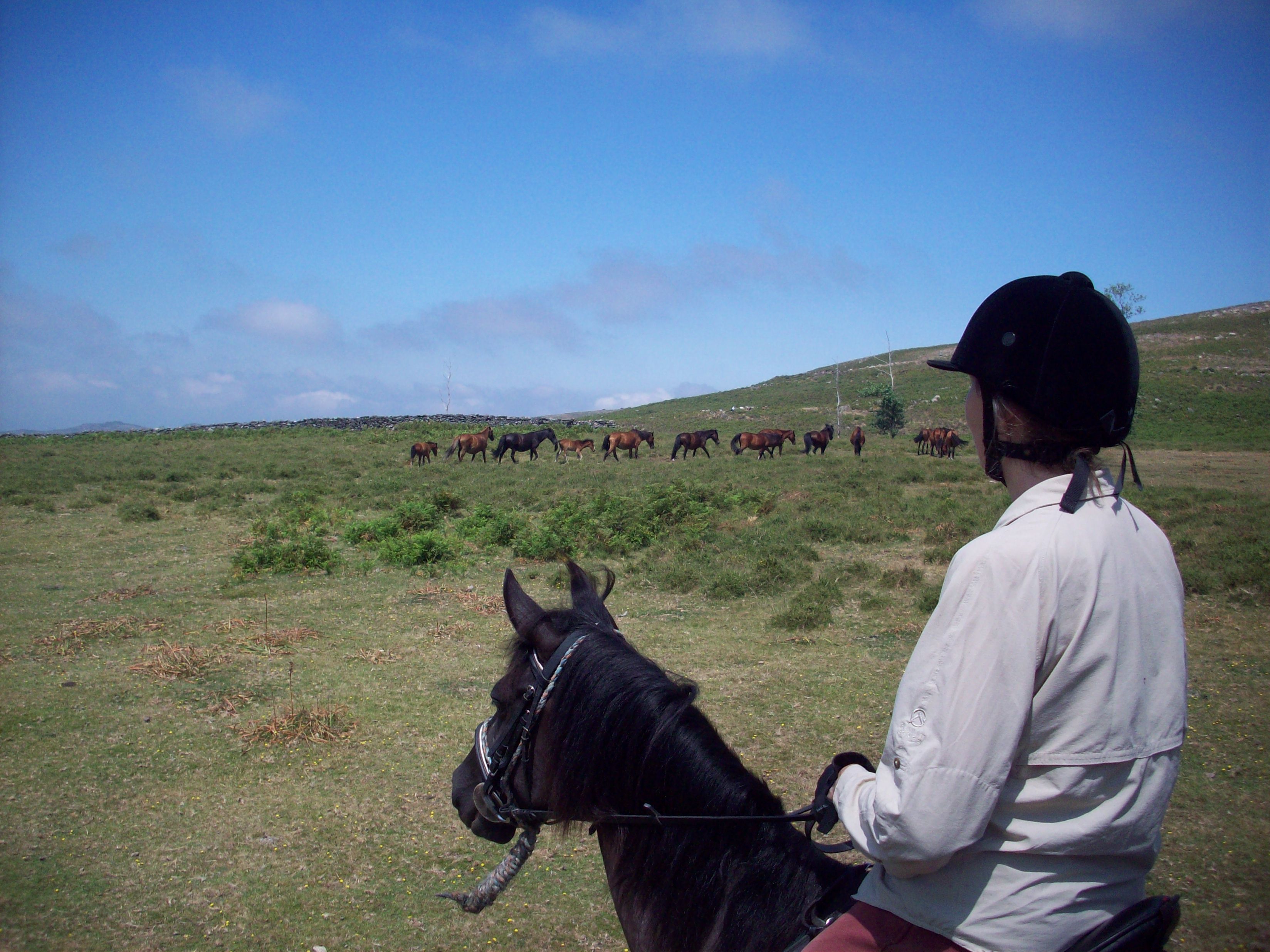 The Wild North Trail - horseXperiences™ GO EQUESTRIAN