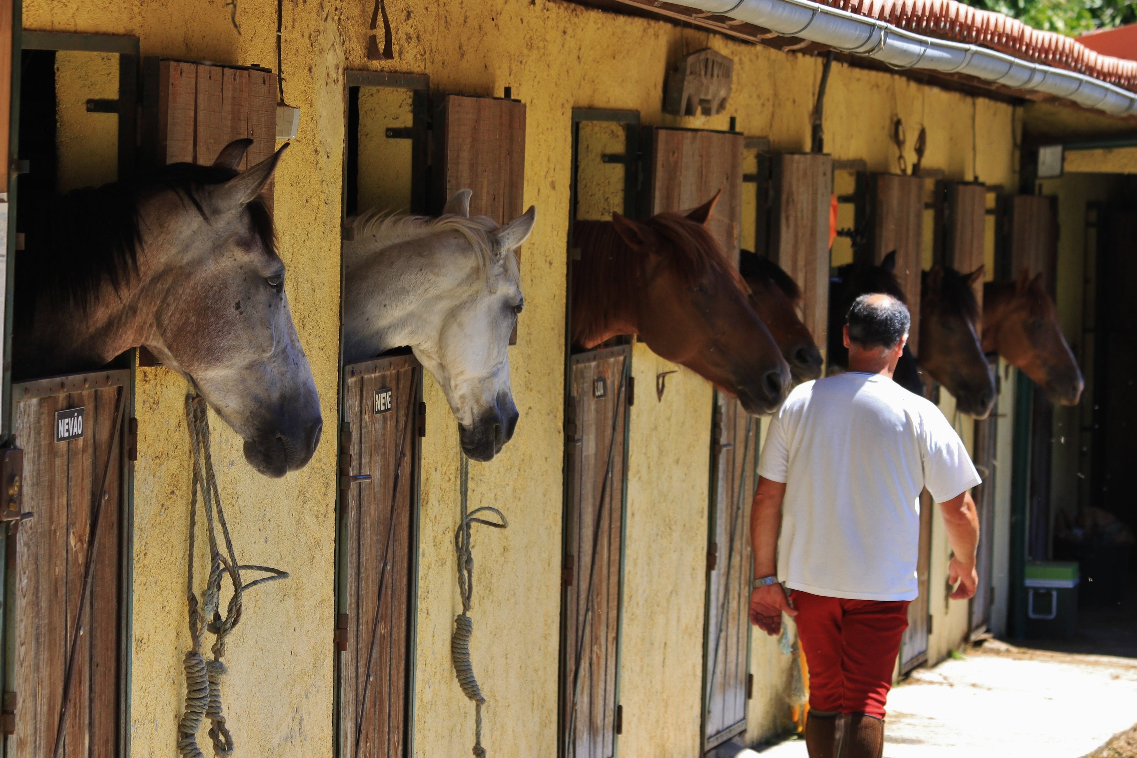 The Wild North Trail - horseXperiences™ GO EQUESTRIAN