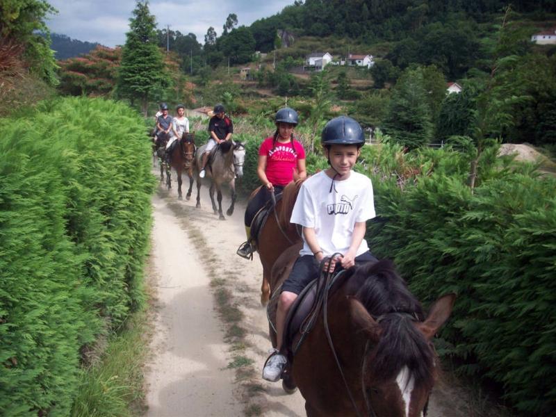 The Wild North Trail - horseXperiences™ GO EQUESTRIAN
