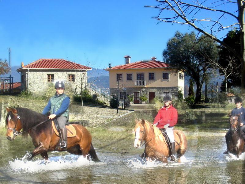 The Wild North Trail - horseXperiences™ GO EQUESTRIAN