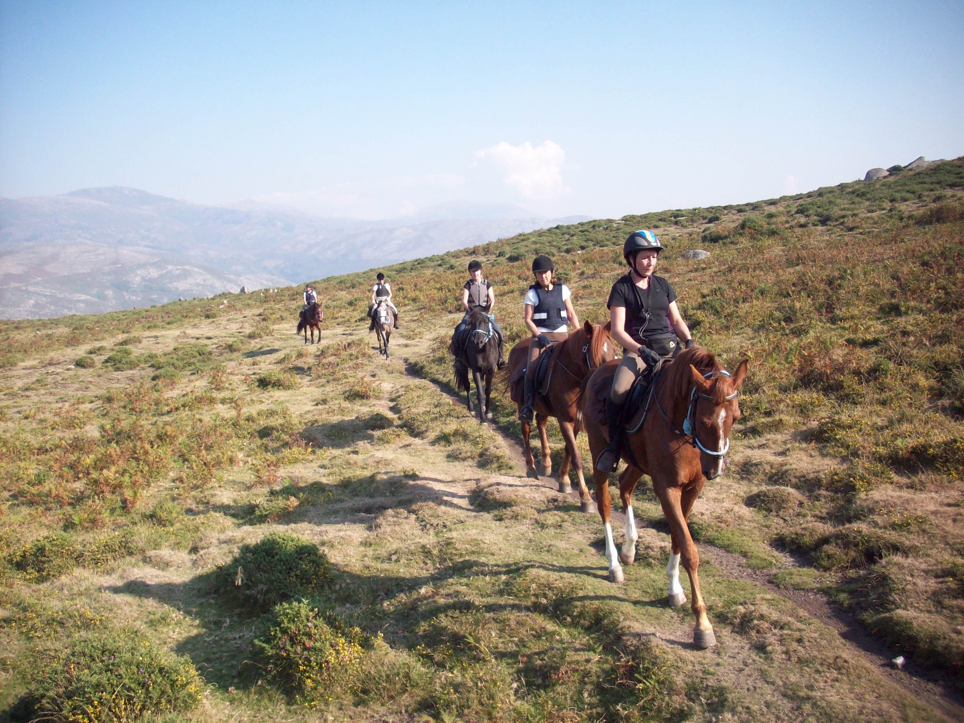 The Wild North Trail - horseXperiences™ GO EQUESTRIAN