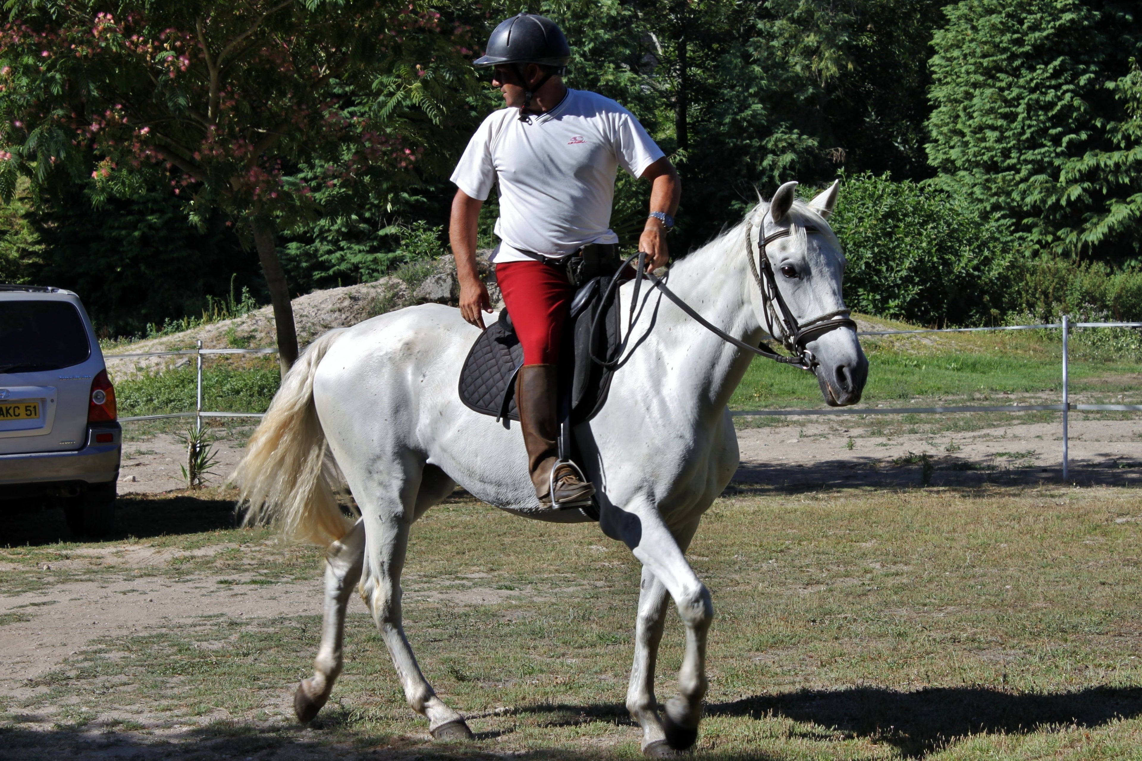 The Wild North Trail - horseXperiences™ GO EQUESTRIAN