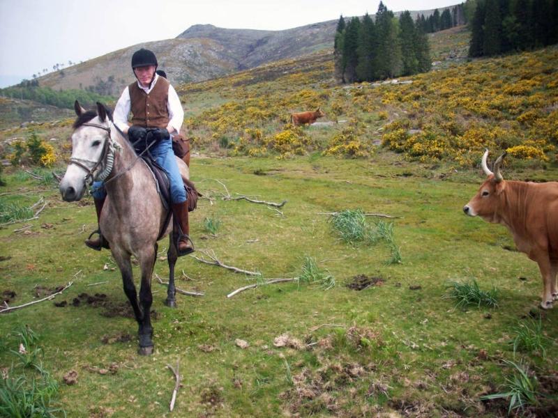 The Wild North Trail - horseXperiences™ GO EQUESTRIAN