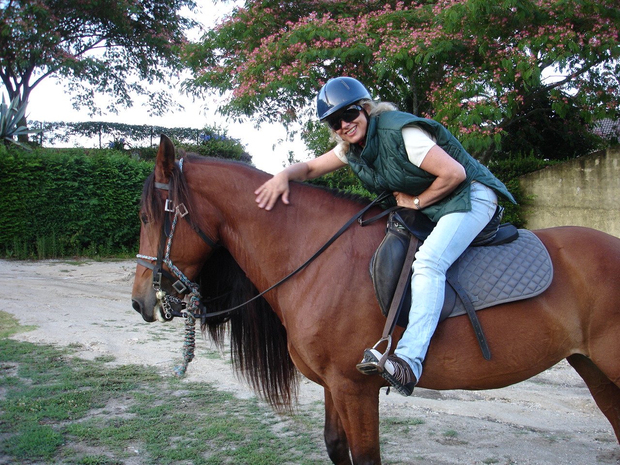 The Wild North Trail - horseXperiences™ GO EQUESTRIAN
