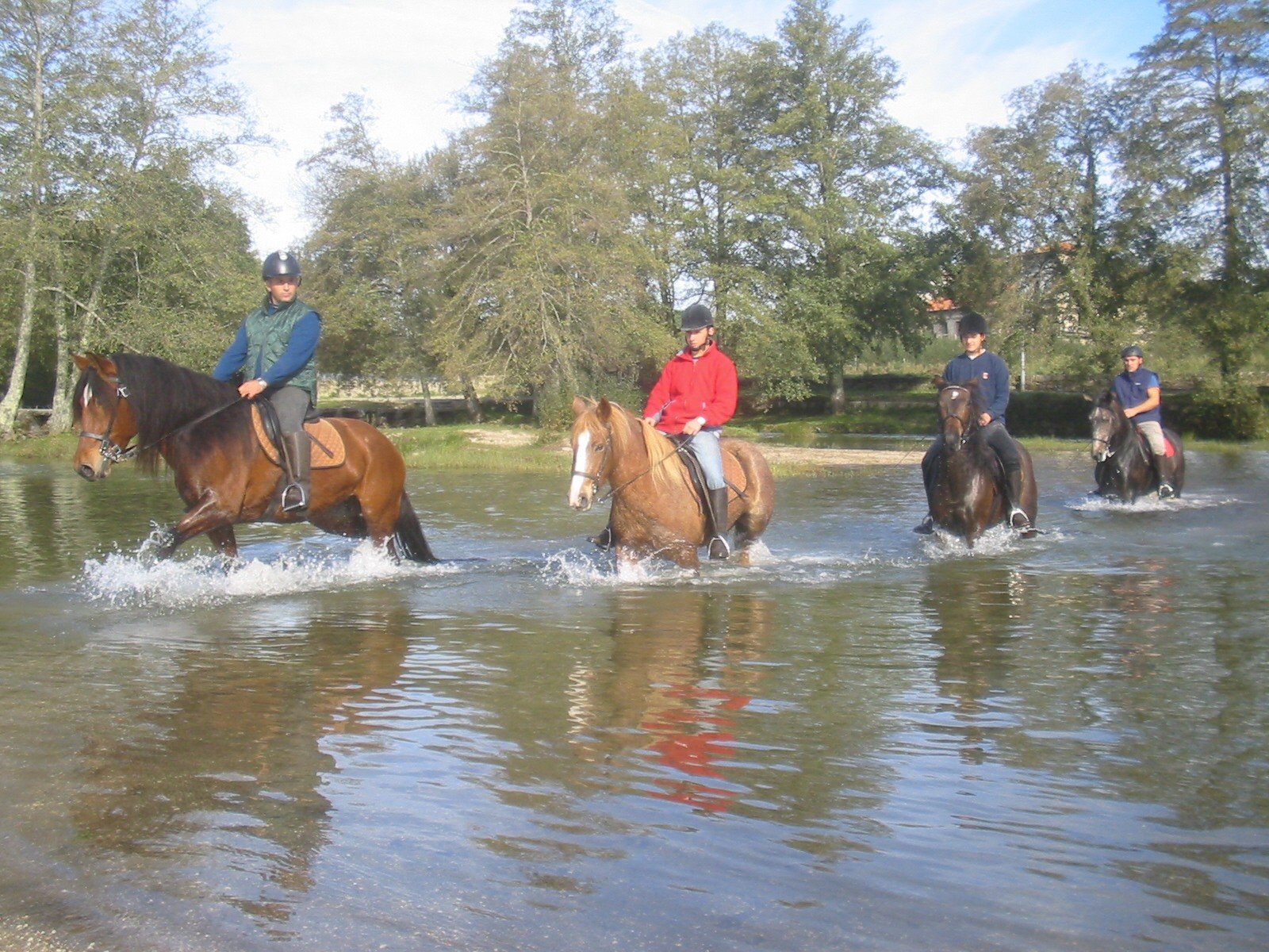 The Wild North Trail - horseXperiences™ GO EQUESTRIAN