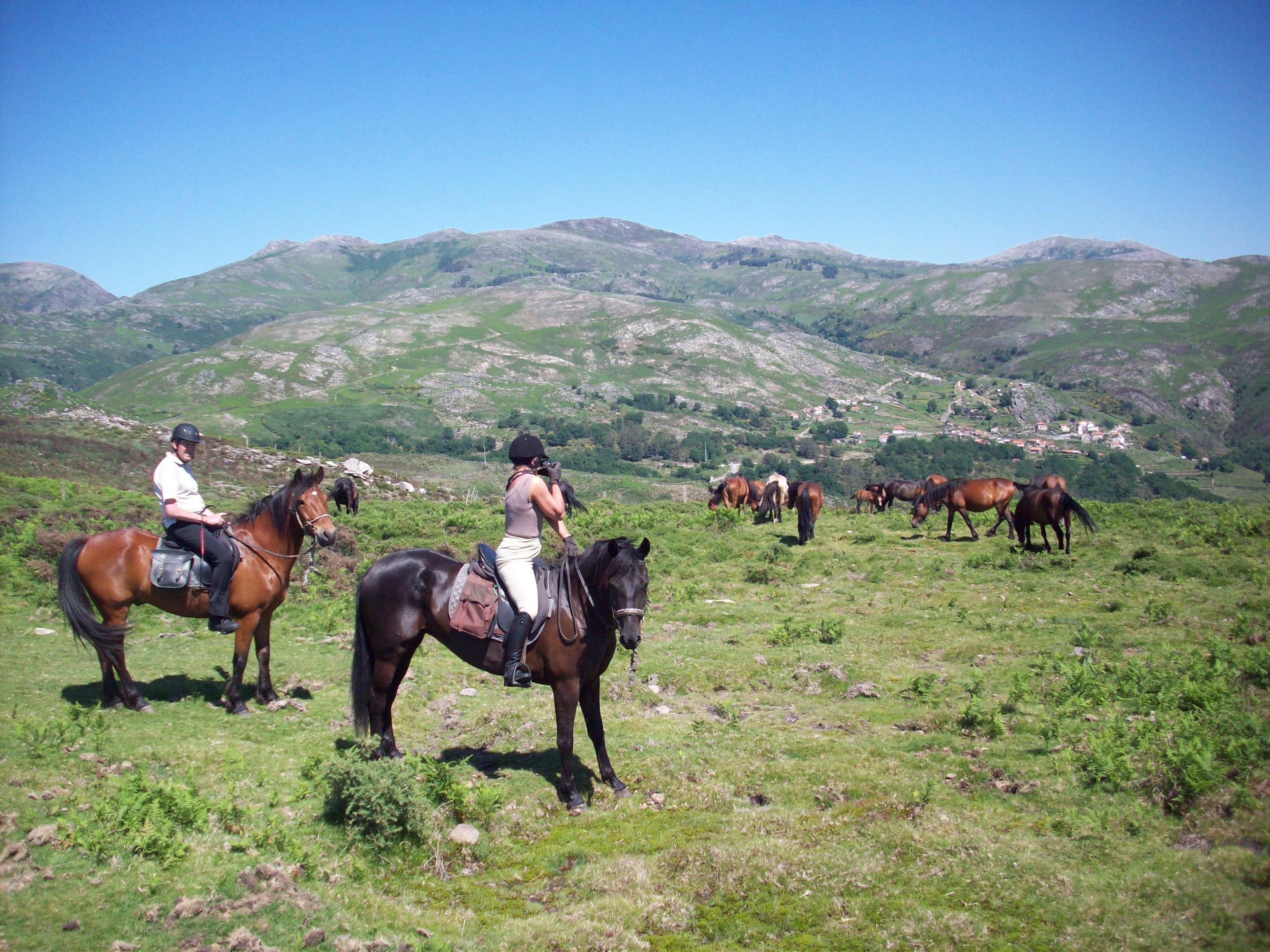 The Wild North Trail - horseXperiences™ GO EQUESTRIAN