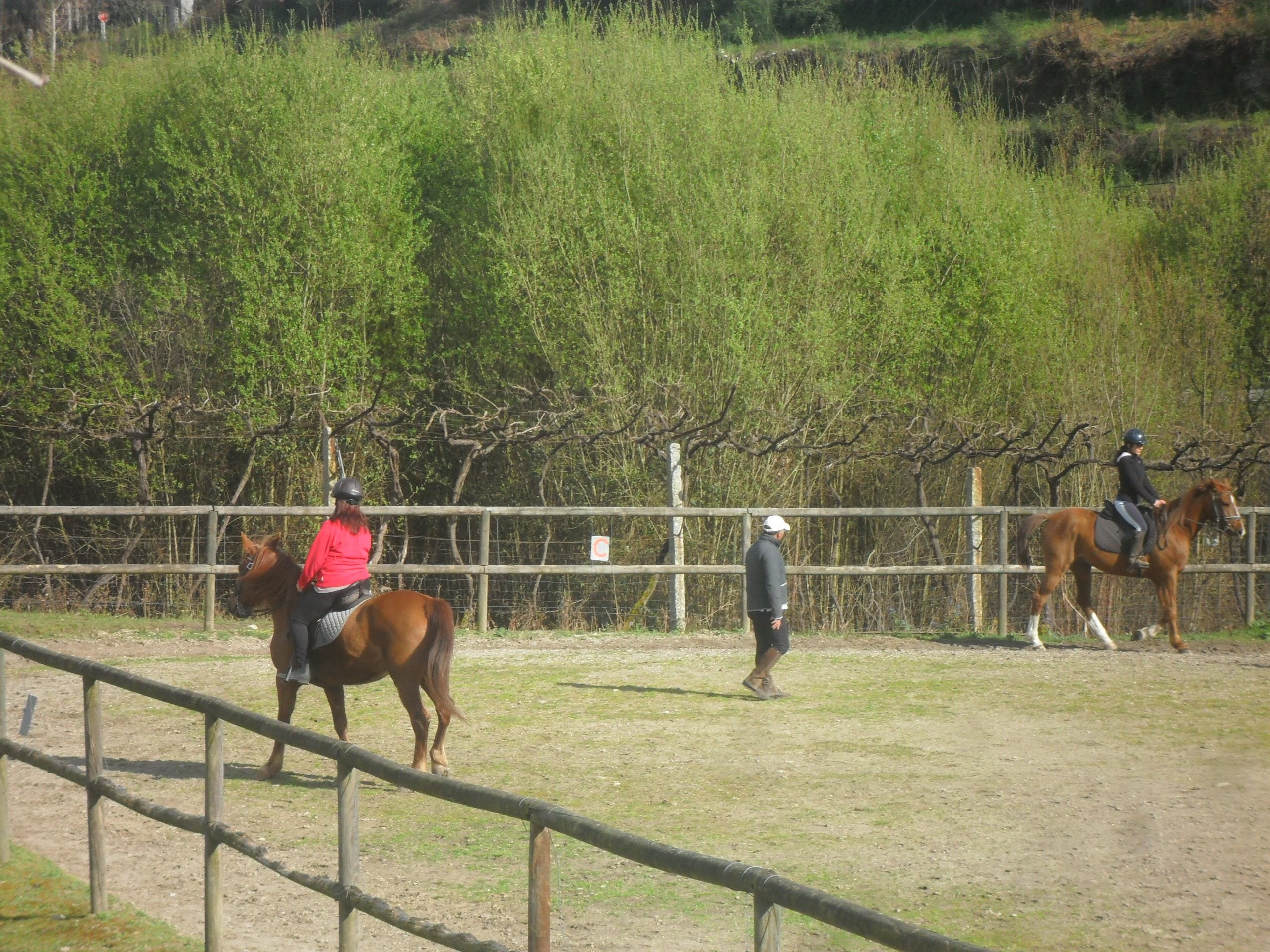 The Wild North Trail - horseXperiences™ GO EQUESTRIAN
