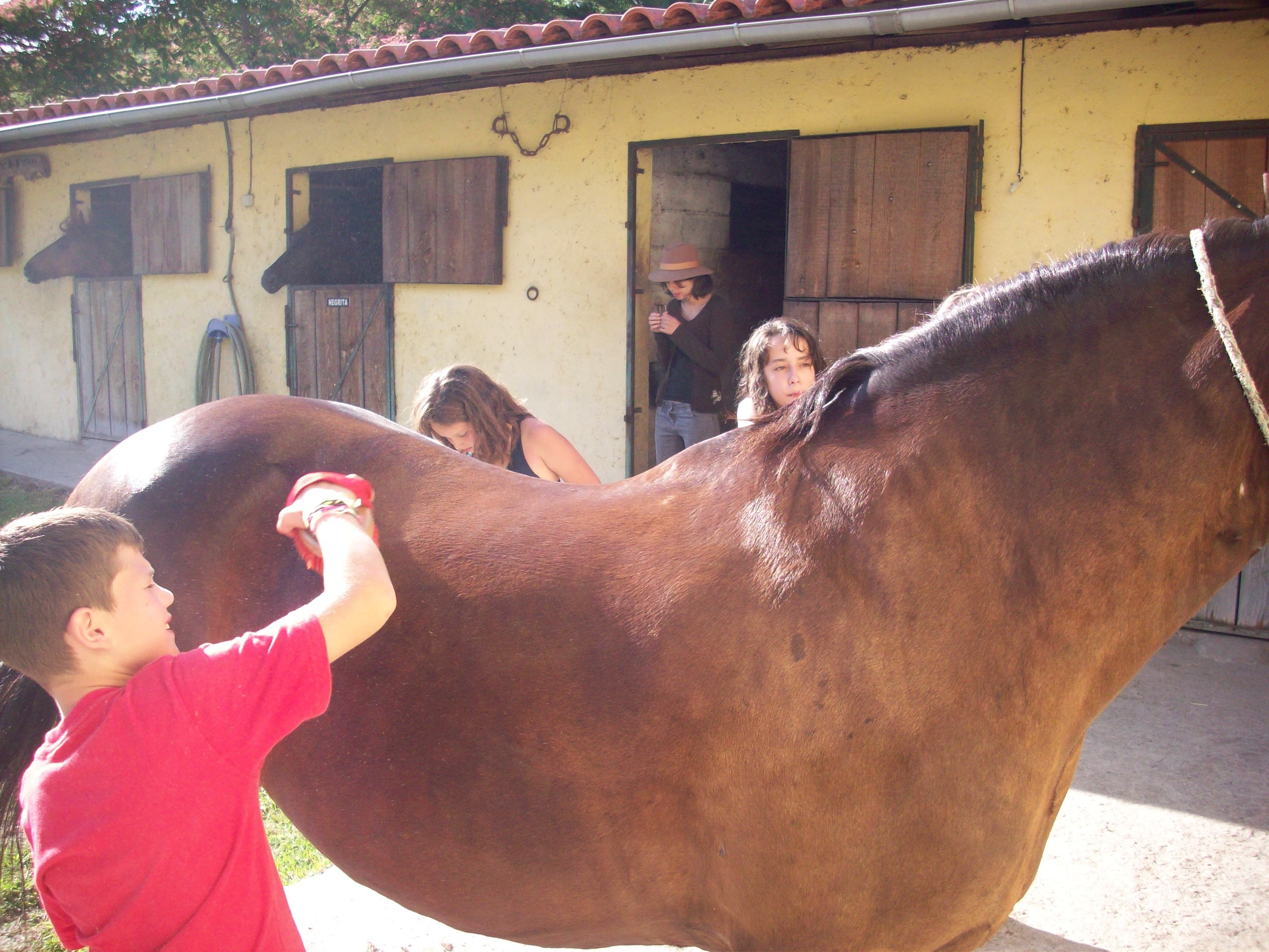 The Wild North Trail - horseXperiences™ GO EQUESTRIAN