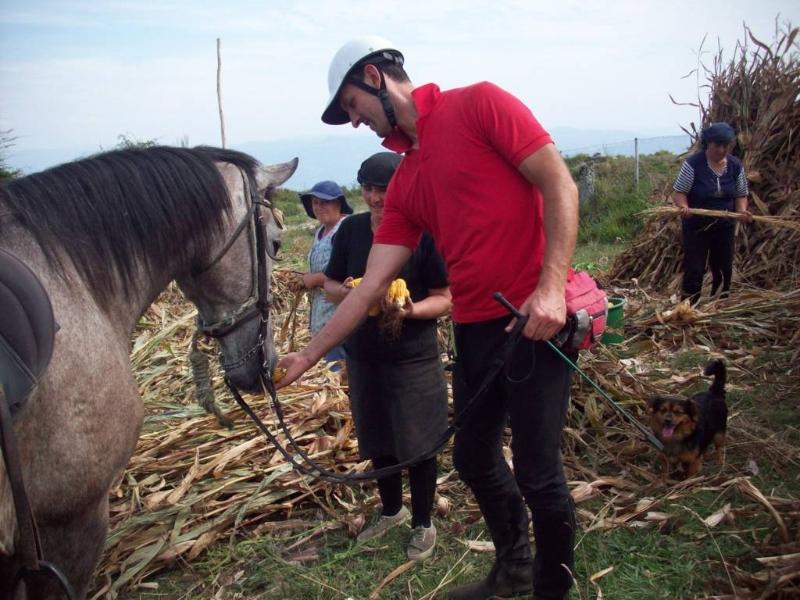 The Wild North Trail - horseXperiences™ GO EQUESTRIAN