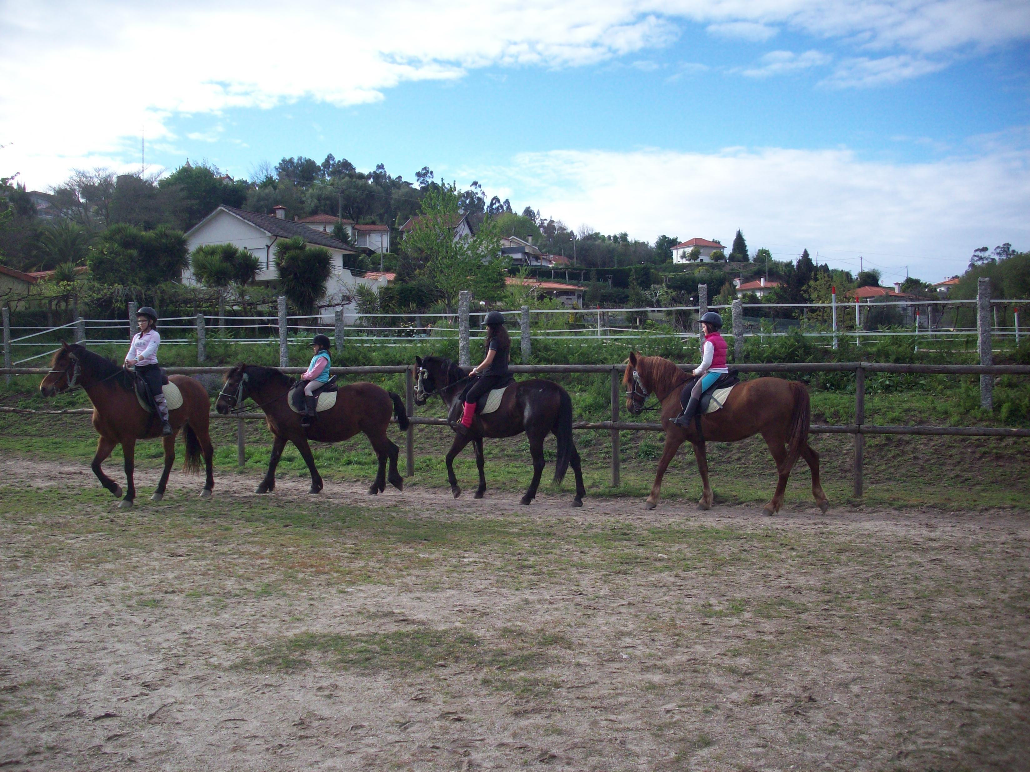 The Wild North Trail - horseXperiences™ GO EQUESTRIAN