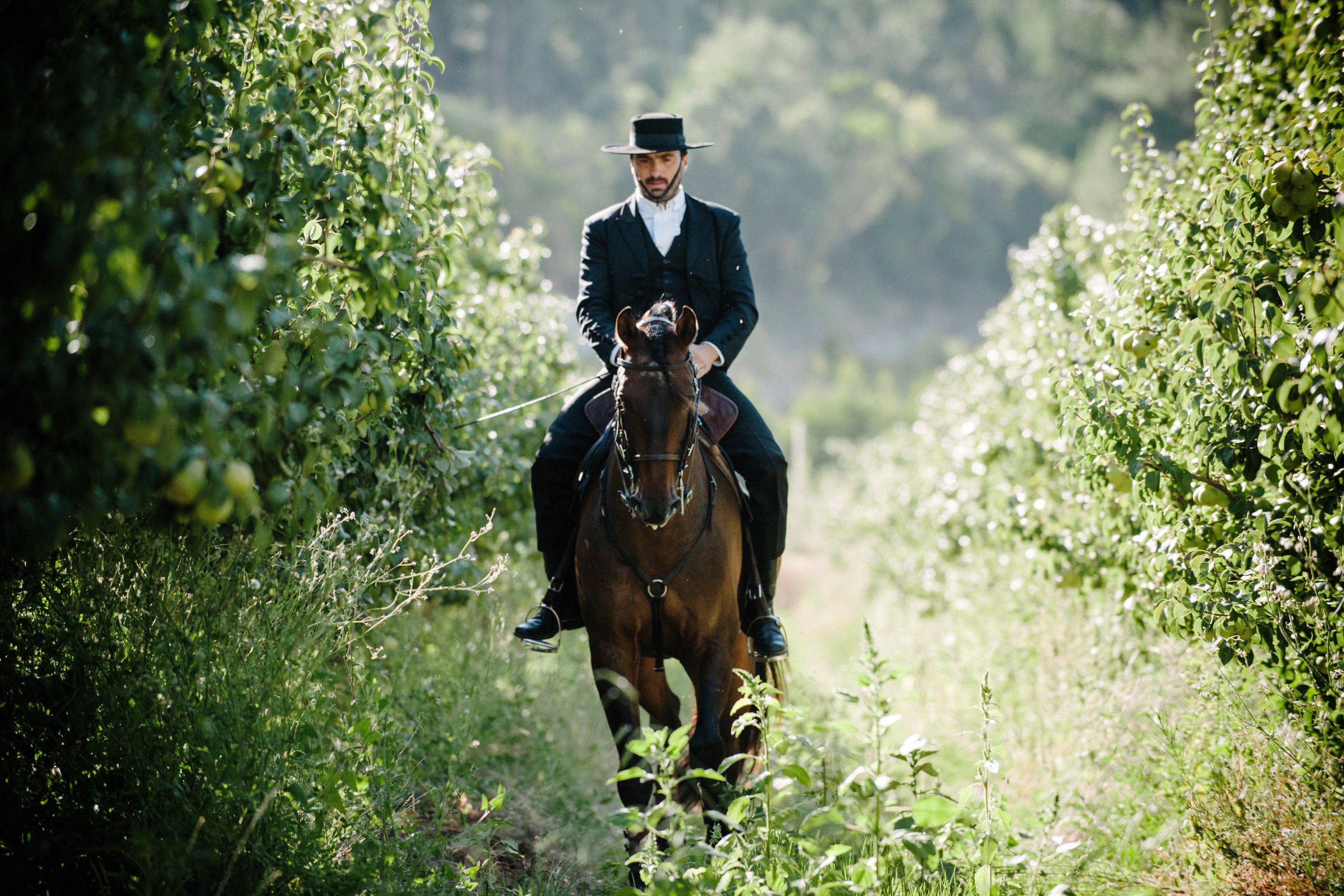 Portugal's Finest - horseXperiences™ GO EQUESTRIAN