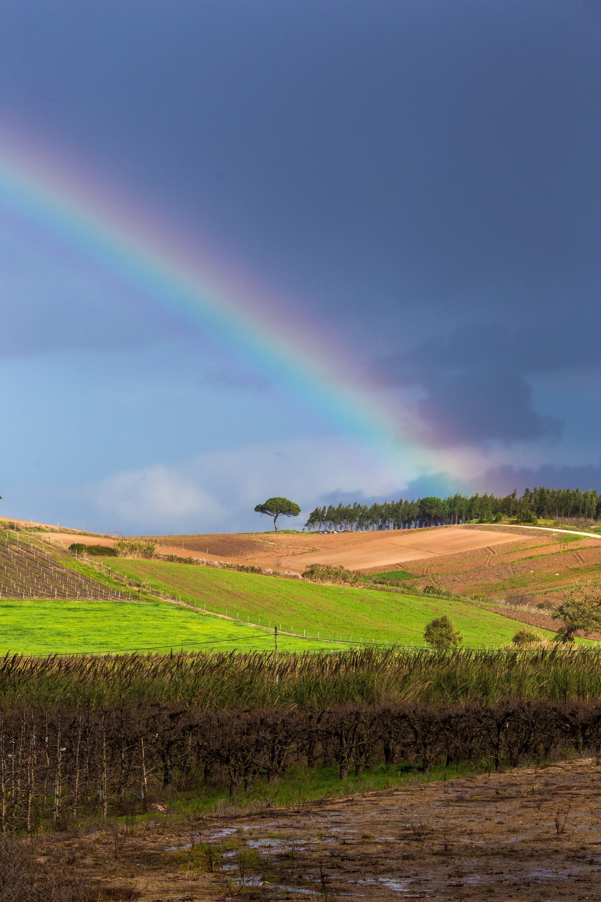 Portugal's Finest - horseXperiences™ GO EQUESTRIAN