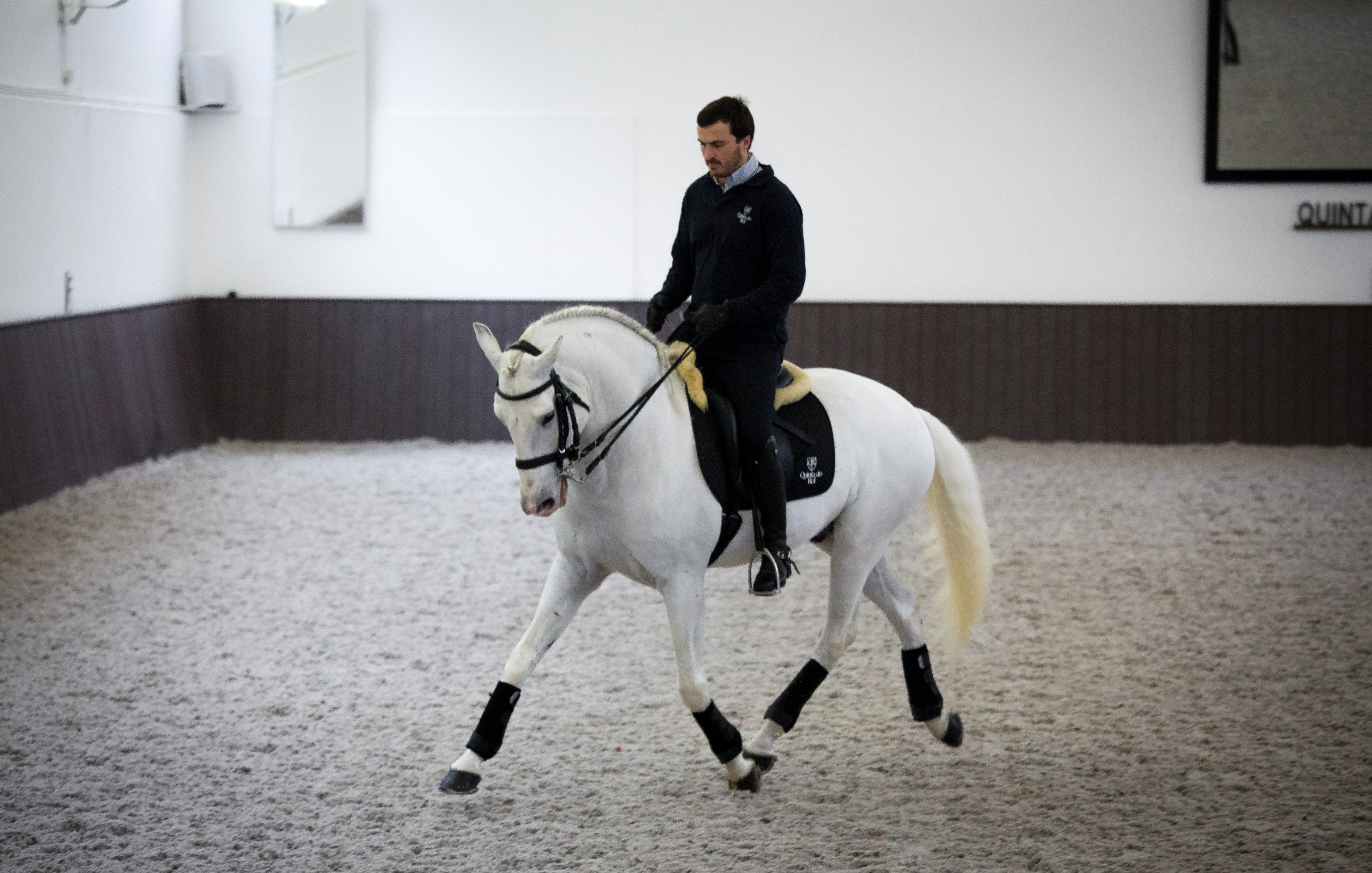 Portugal's Finest - horseXperiences™ GO EQUESTRIAN