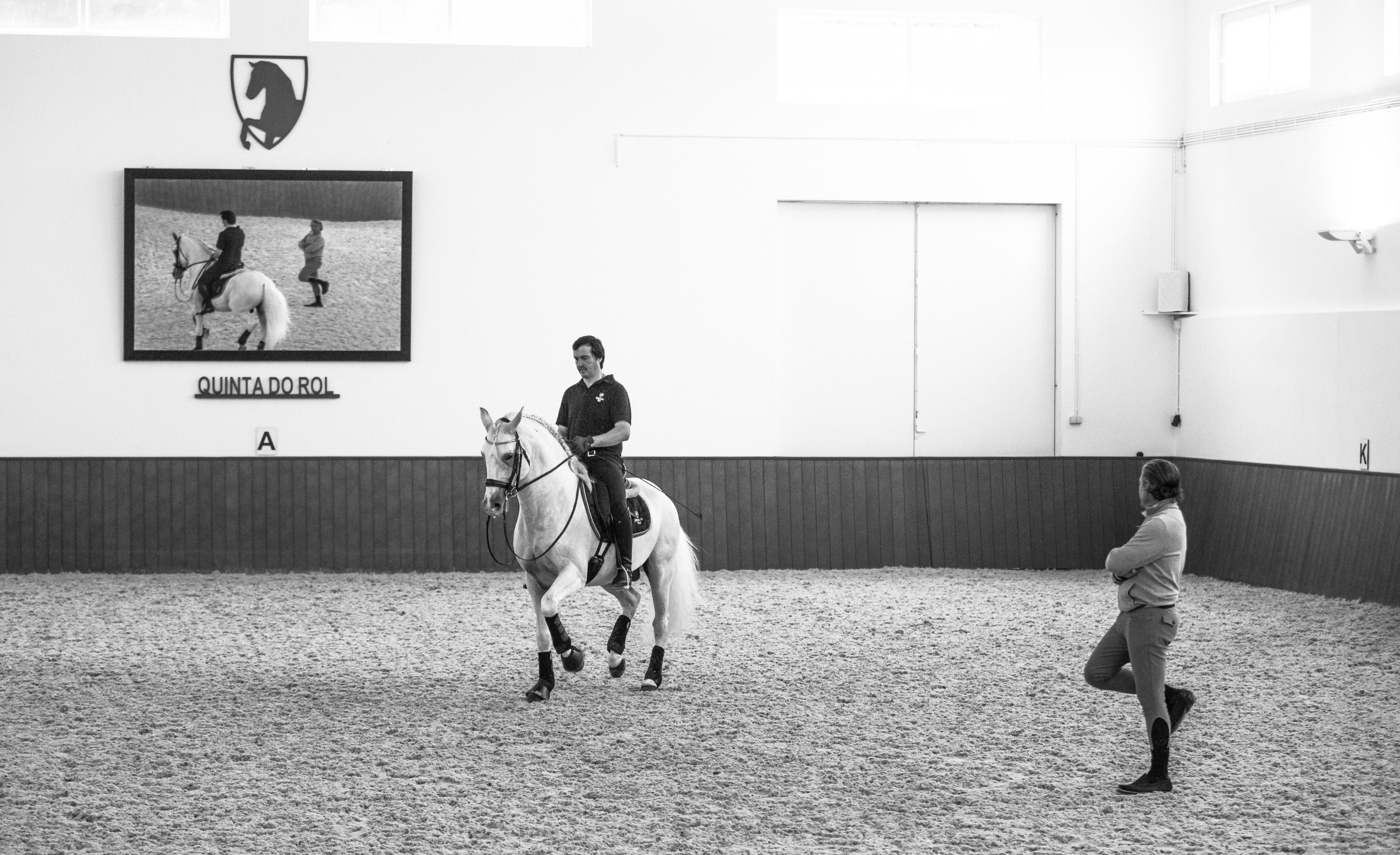 Portugal's Finest - horseXperiences™ GO EQUESTRIAN