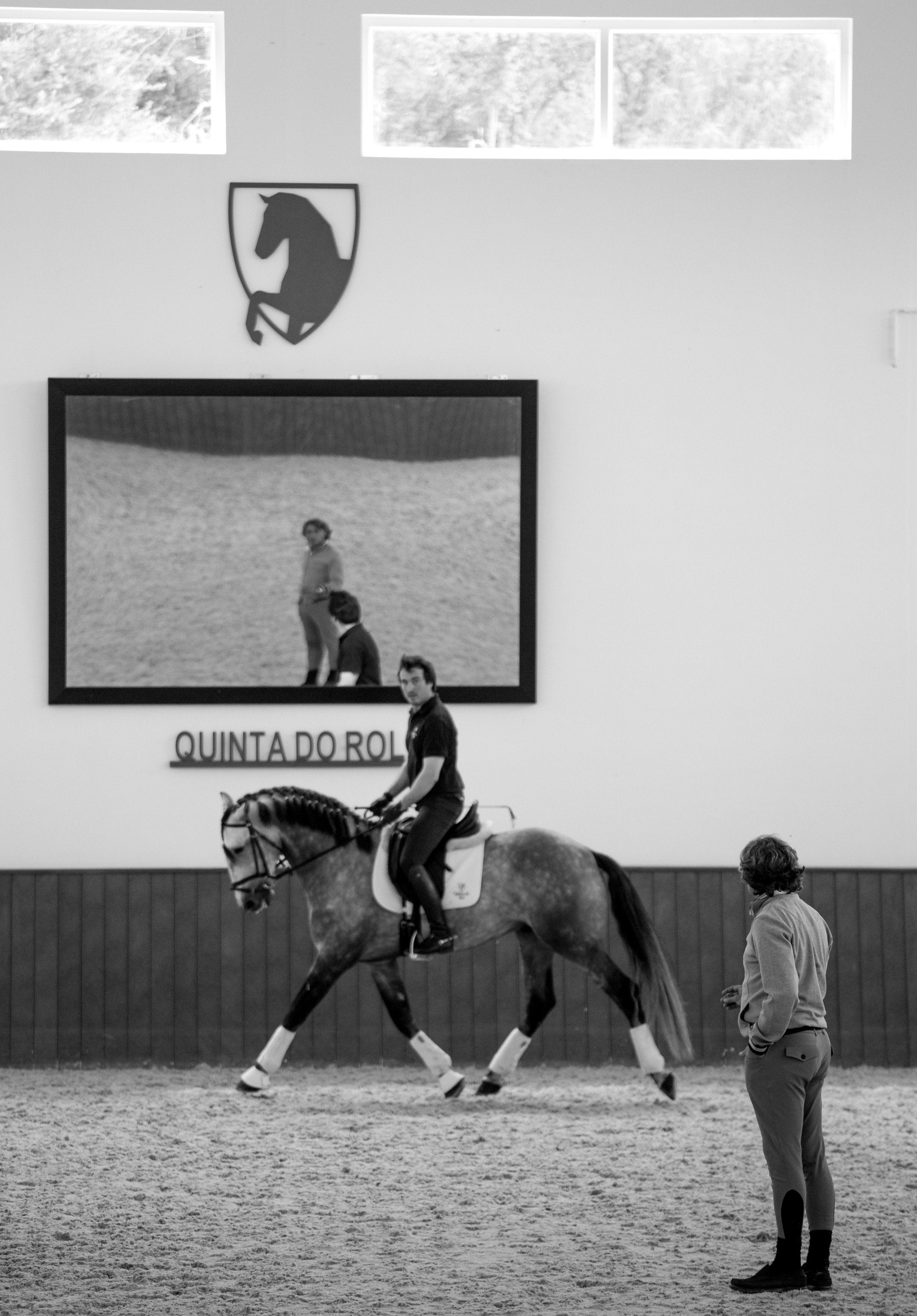 Portugal's Finest - horseXperiences™ GO EQUESTRIAN