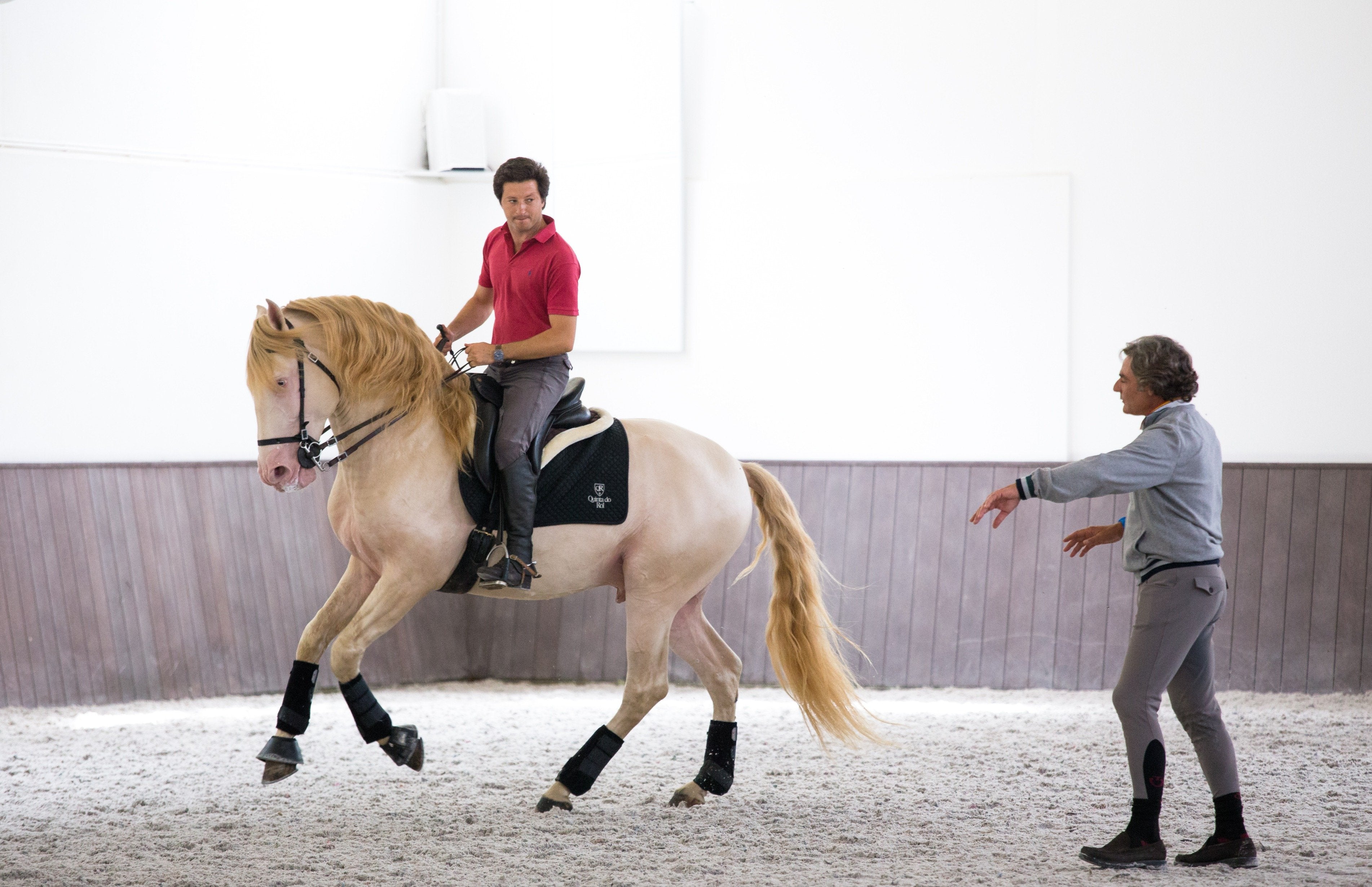 Portugal's Finest - horseXperiences™ GO EQUESTRIAN