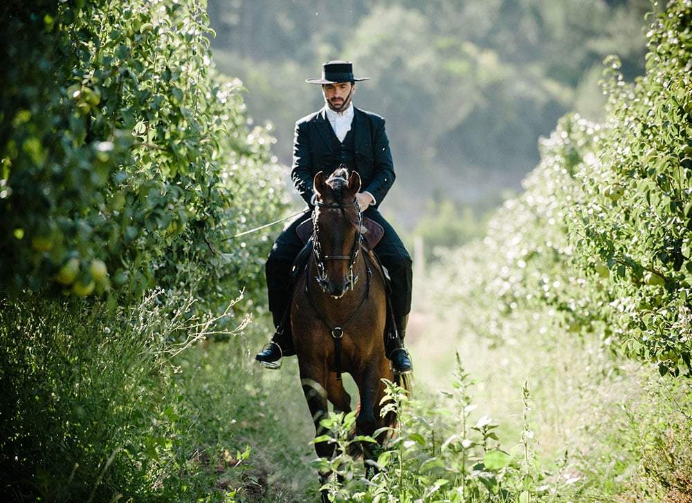 Portugal's Finest - horseXperiences™ GO EQUESTRIAN