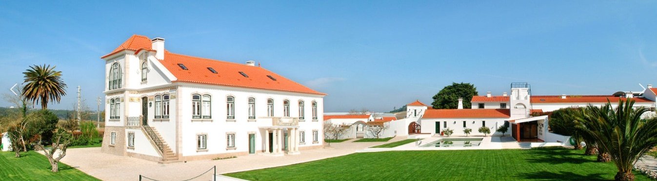 Portugal's Finest - horseXperiences™ GO EQUESTRIAN