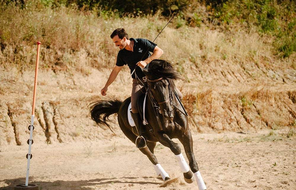 Portugal's Finest - horseXperiences™ GO EQUESTRIAN