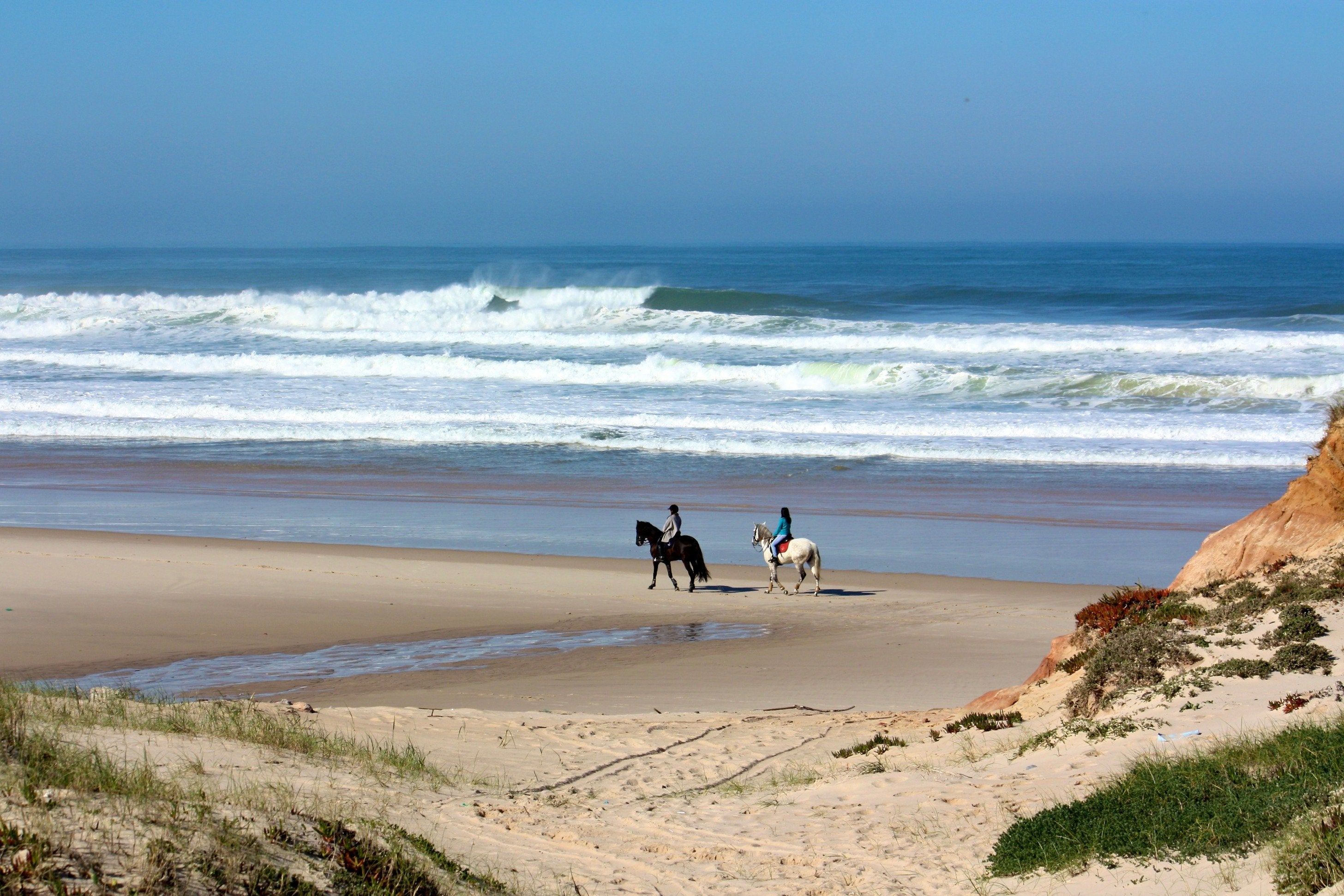 Portugal's Finest - horseXperiences™ GO EQUESTRIAN