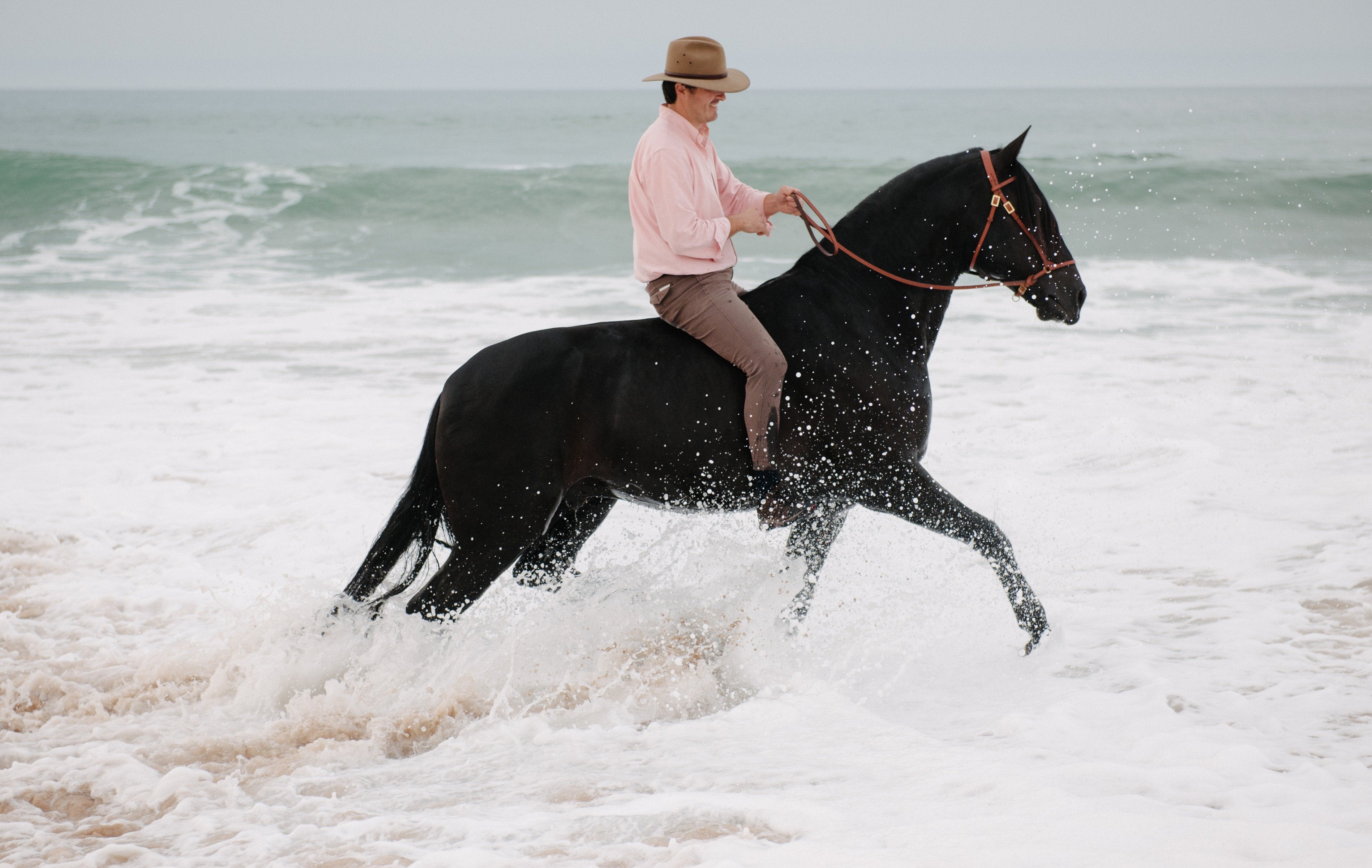 Portugal's Finest - horseXperiences™ GO EQUESTRIAN