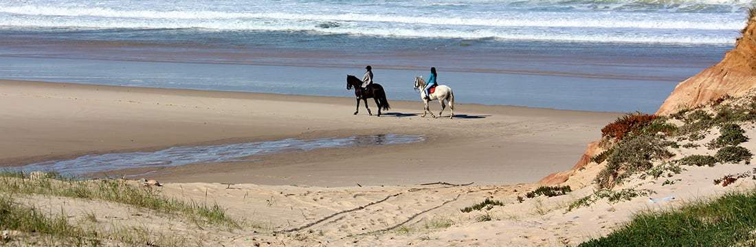 Portugal's Finest - horseXperiences™ GO EQUESTRIAN