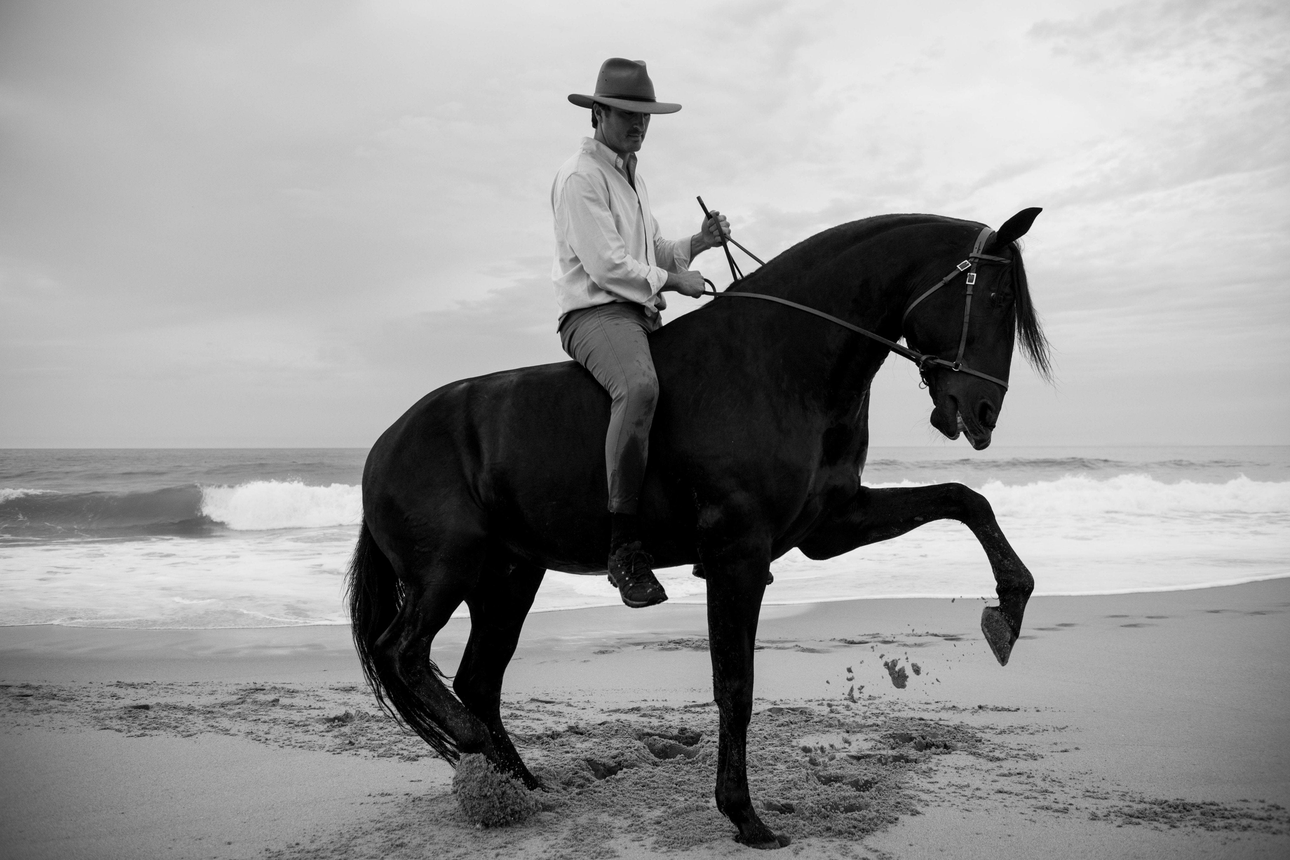 Portugal's Finest - horseXperiences™ GO EQUESTRIAN