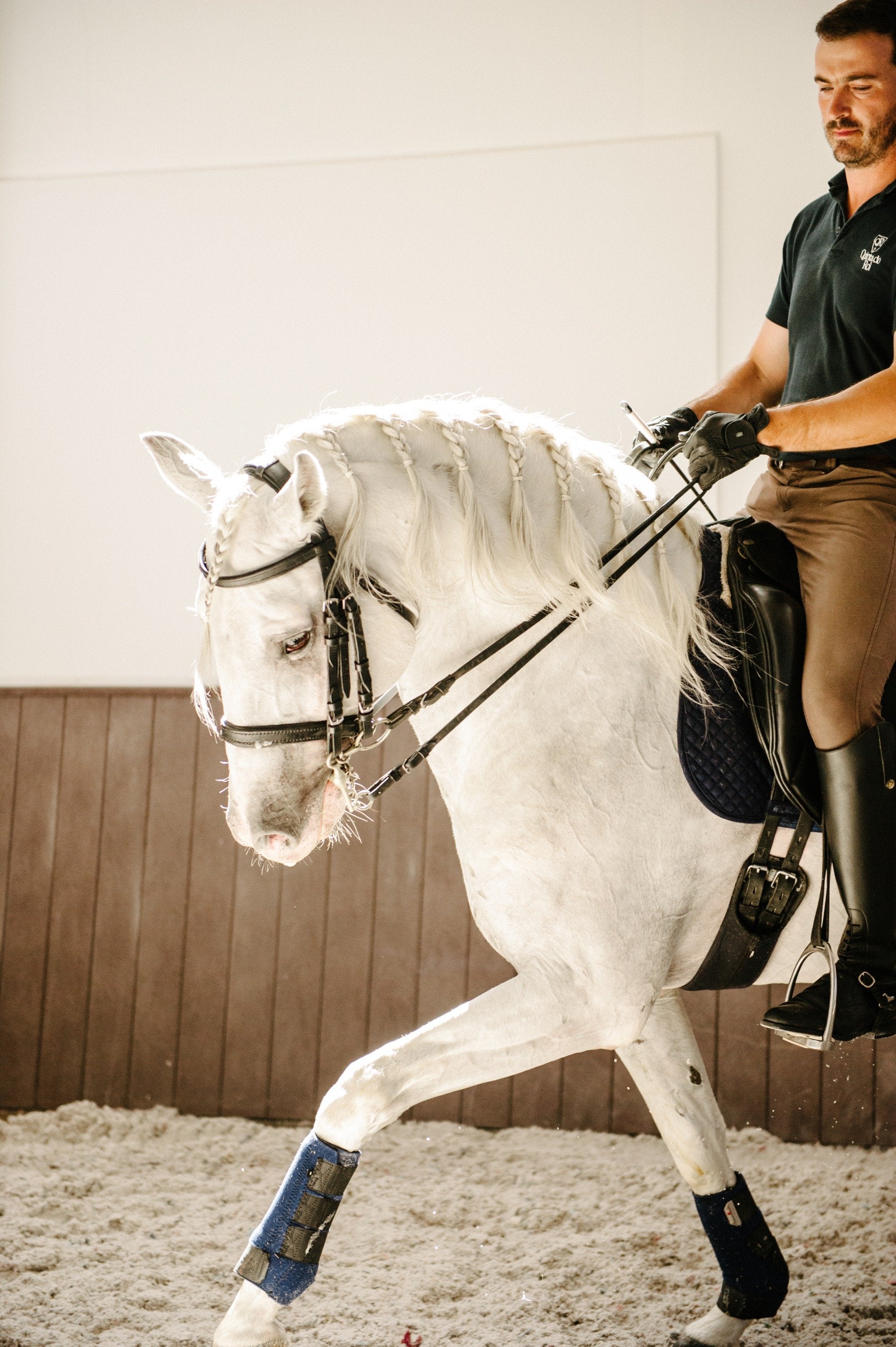 Portugal's Finest - horseXperiences™ GO EQUESTRIAN