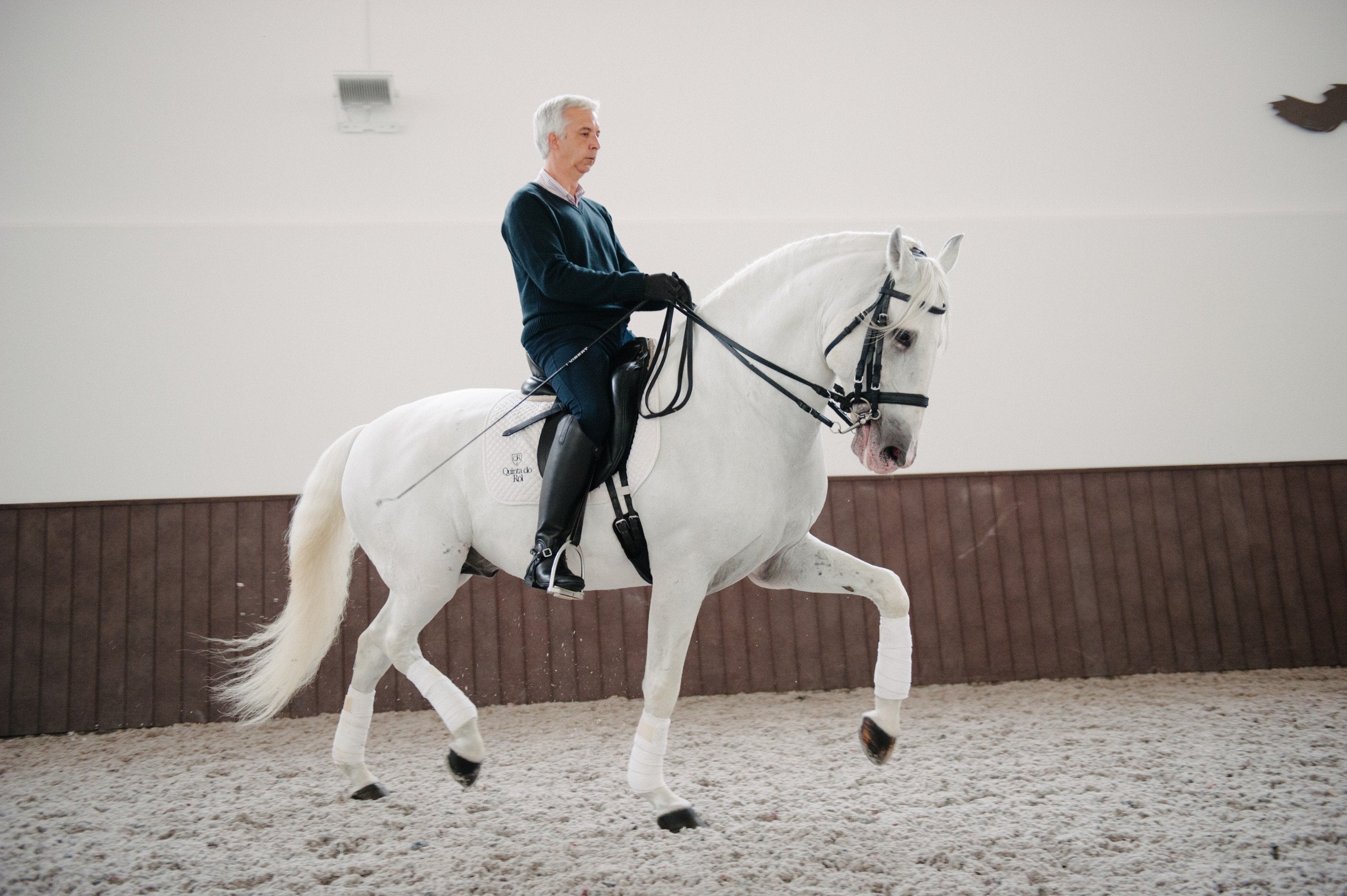 Portugal's Finest - horseXperiences™ GO EQUESTRIAN