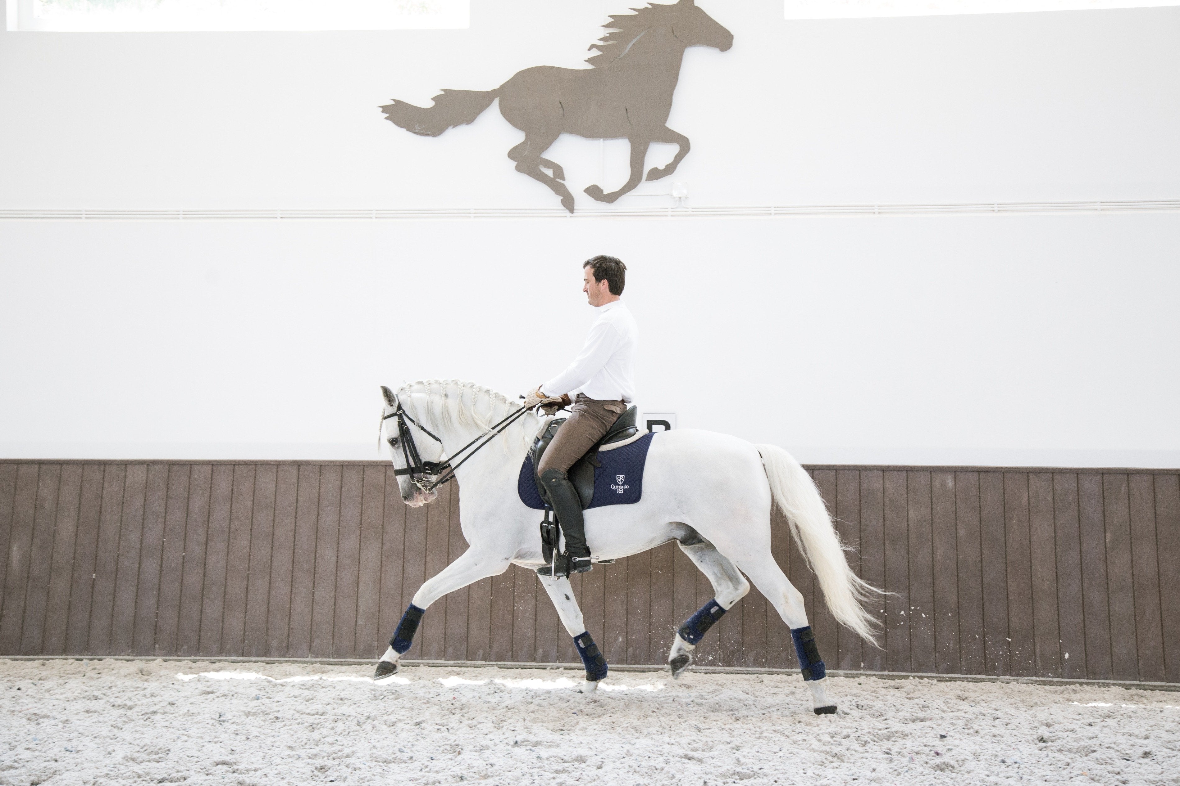 Portugal's Finest - horseXperiences™ GO EQUESTRIAN