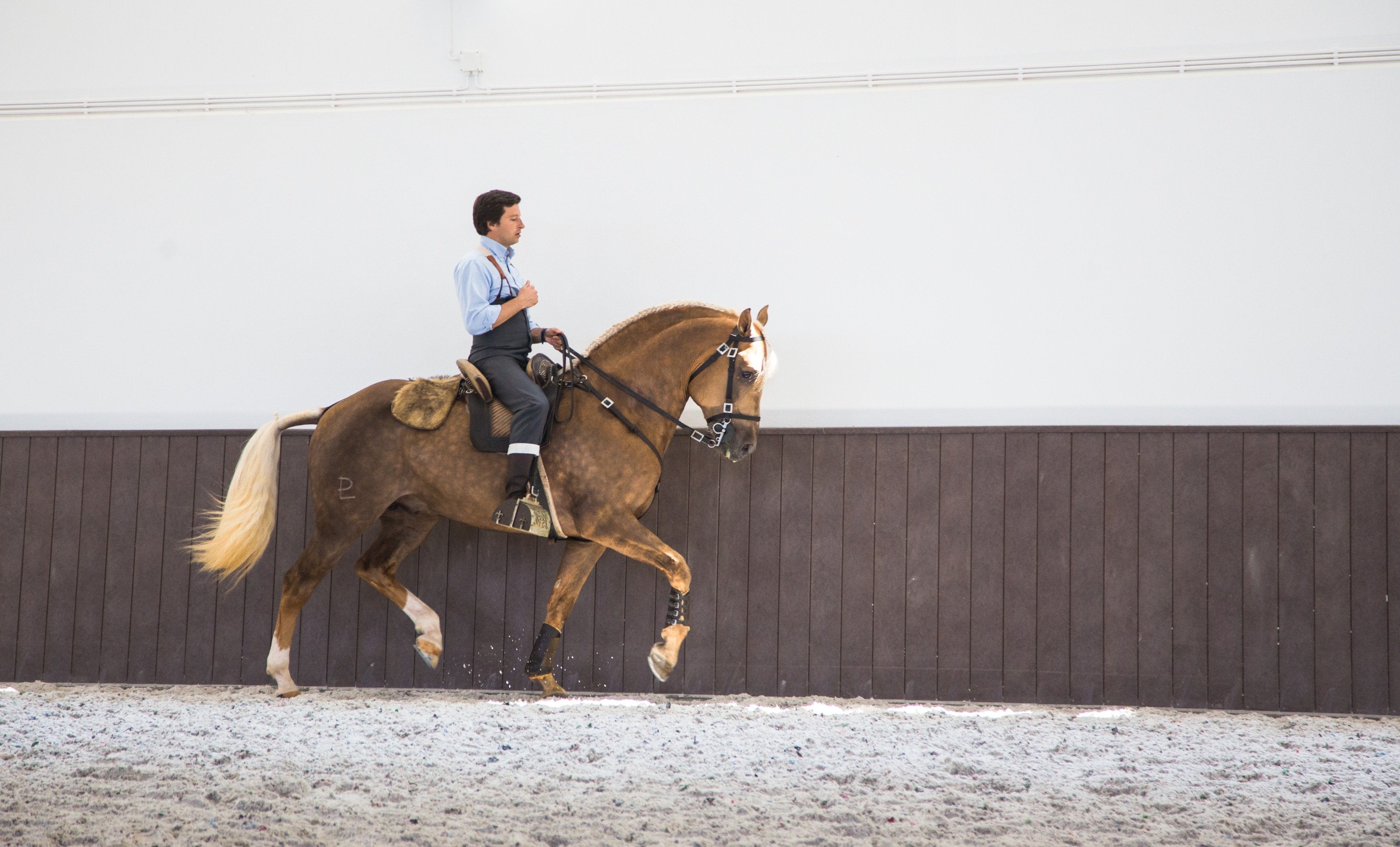 Portugal's Finest - horseXperiences™ GO EQUESTRIAN