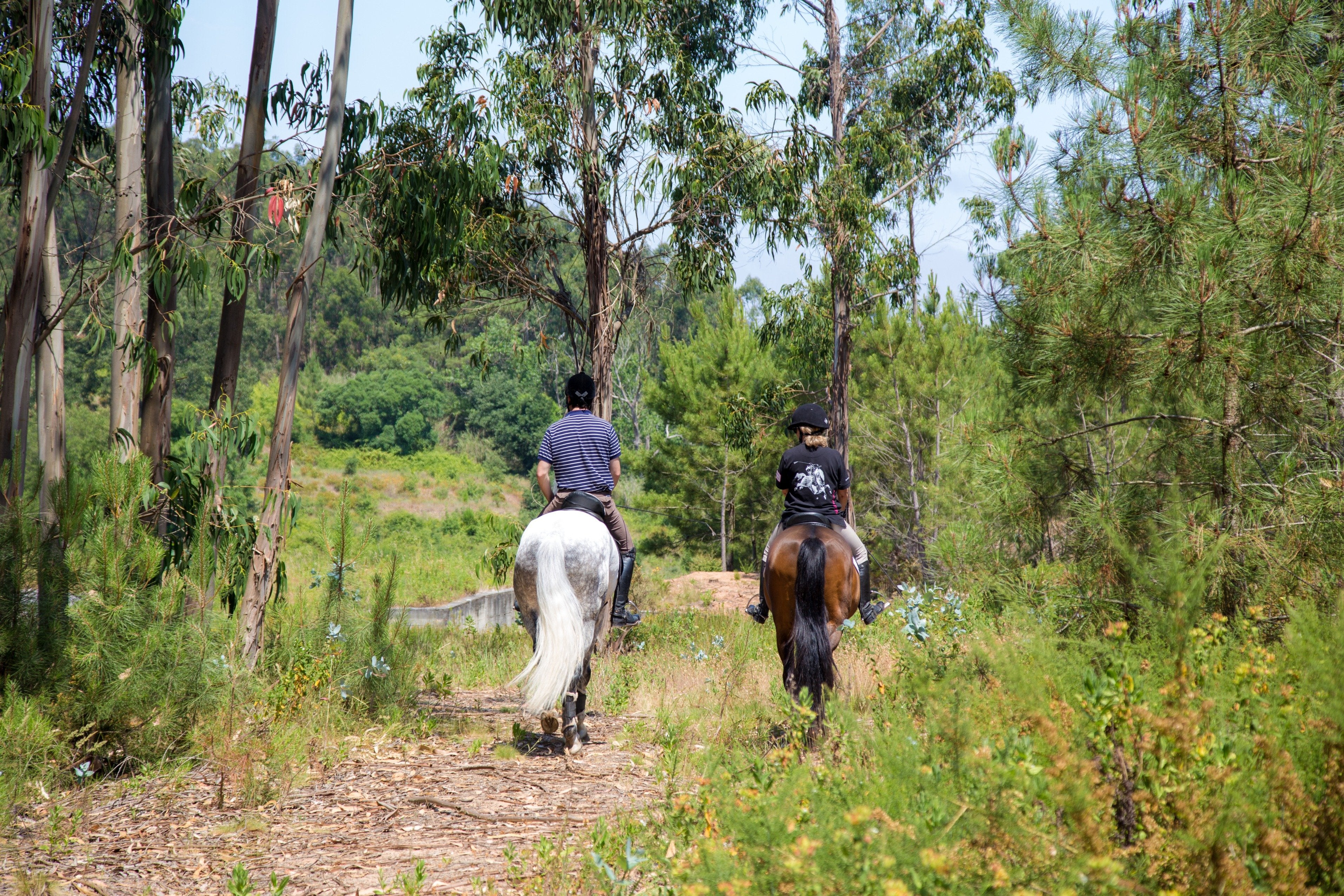 Portugal's Finest - horseXperiences™ GO EQUESTRIAN