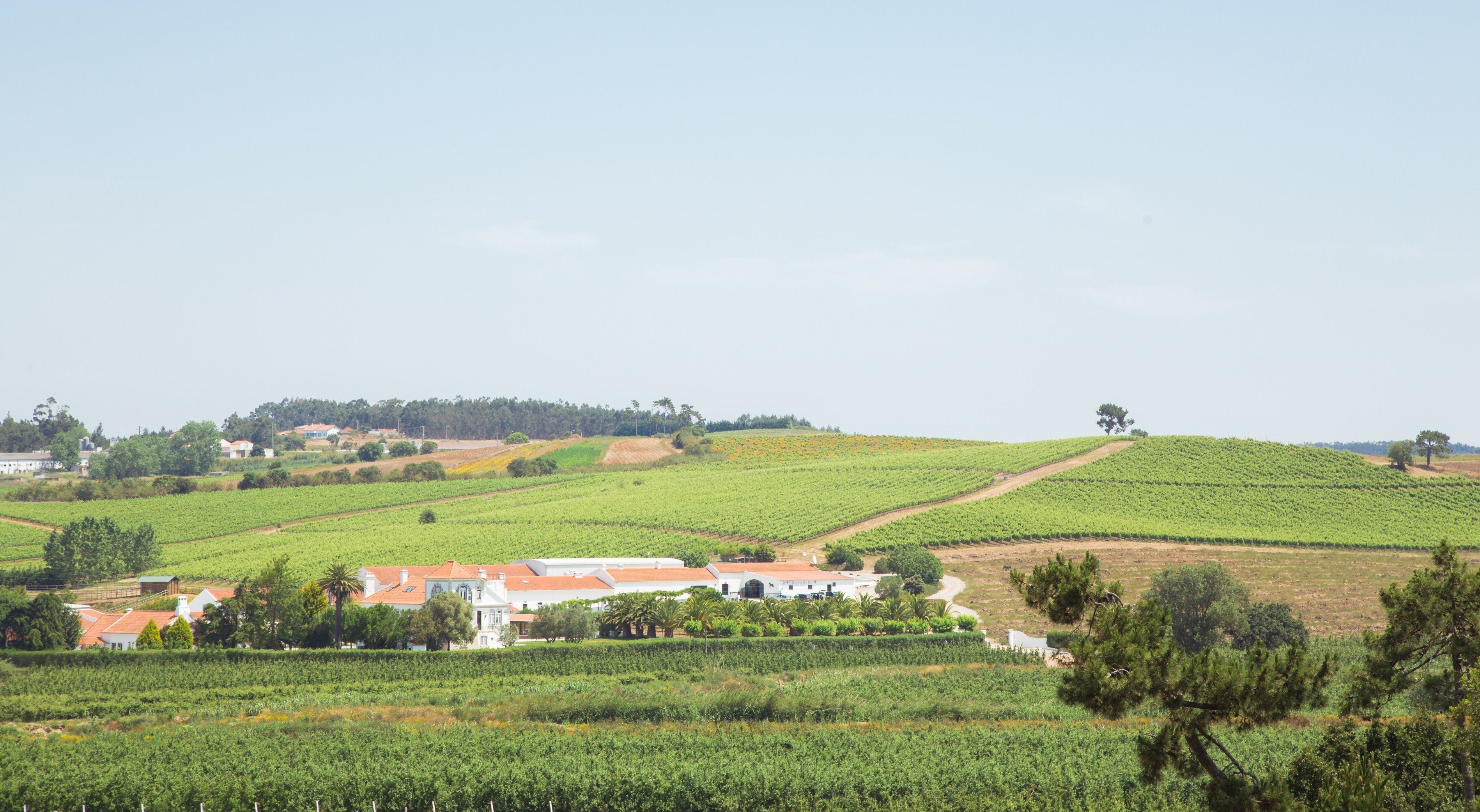 Portugal's Finest - horseXperiences™ GO EQUESTRIAN