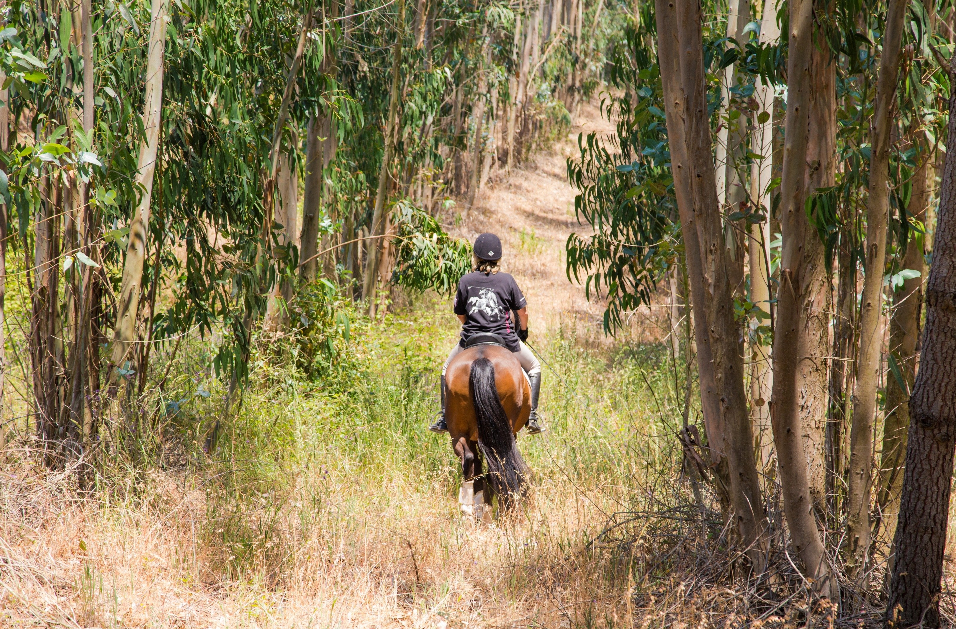 Portugal's Finest - horseXperiences™ GO EQUESTRIAN