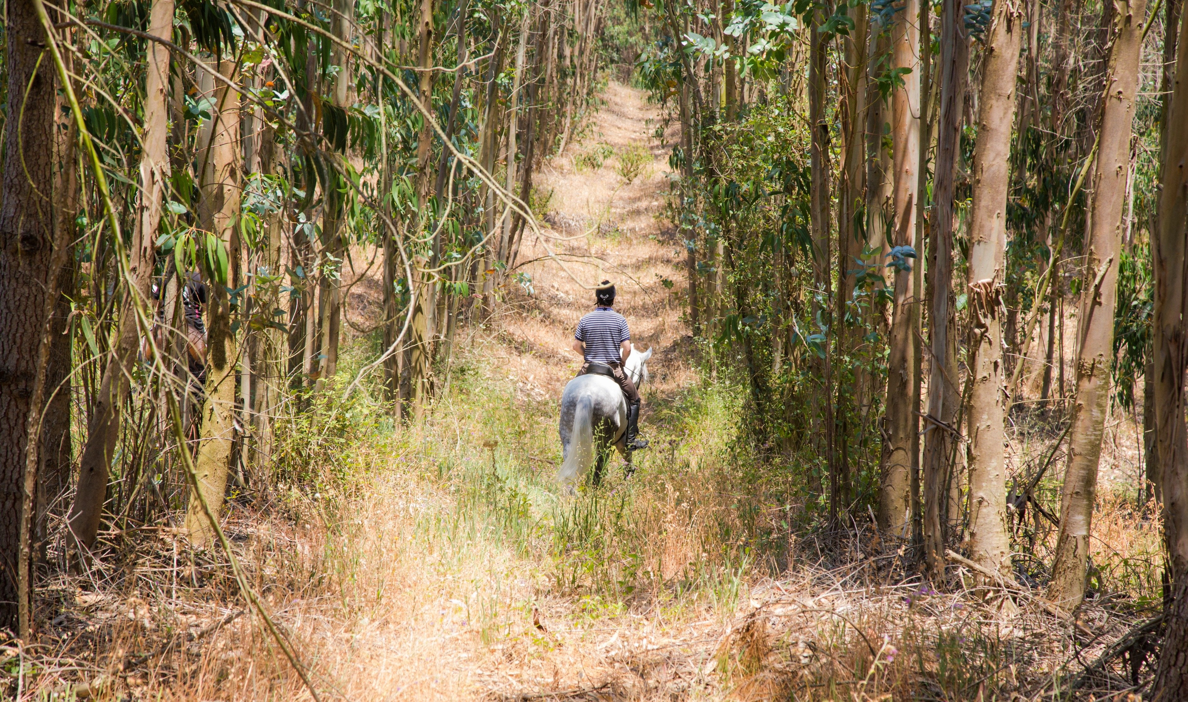 Portugal's Finest - horseXperiences™ GO EQUESTRIAN