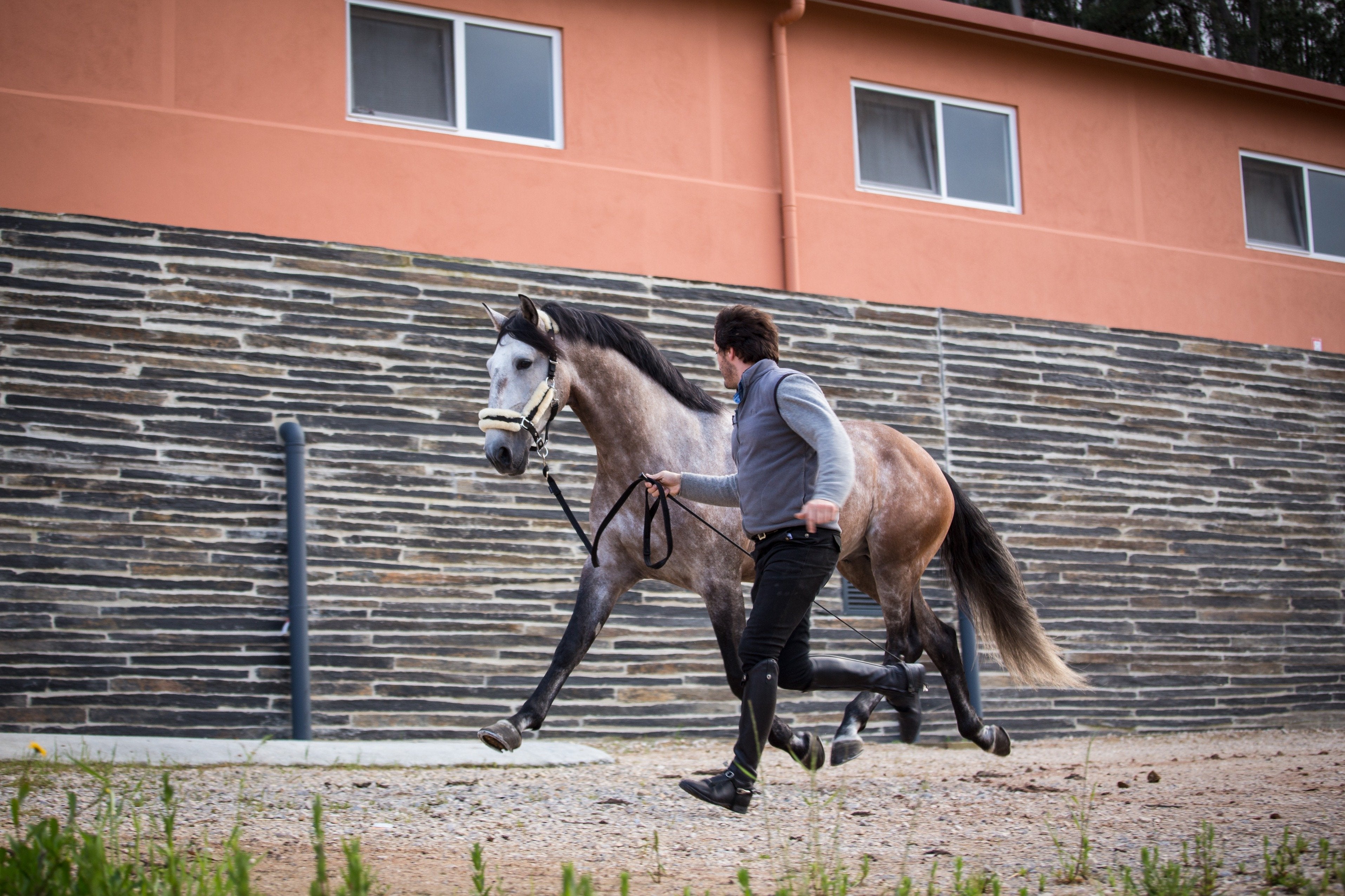 Portugal's Finest - horseXperiences™ GO EQUESTRIAN