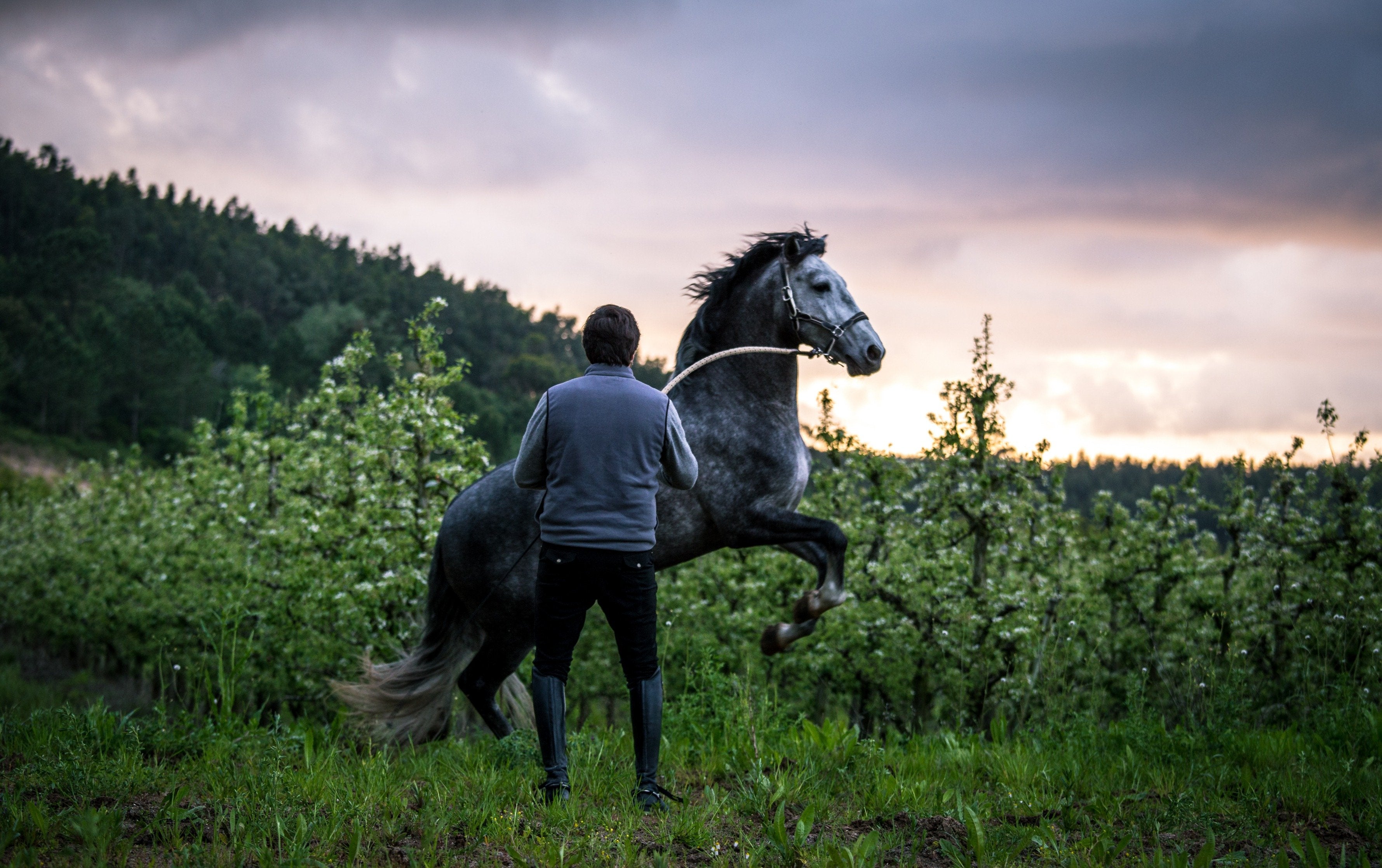 Portugal's Finest - horseXperiences™ GO EQUESTRIAN