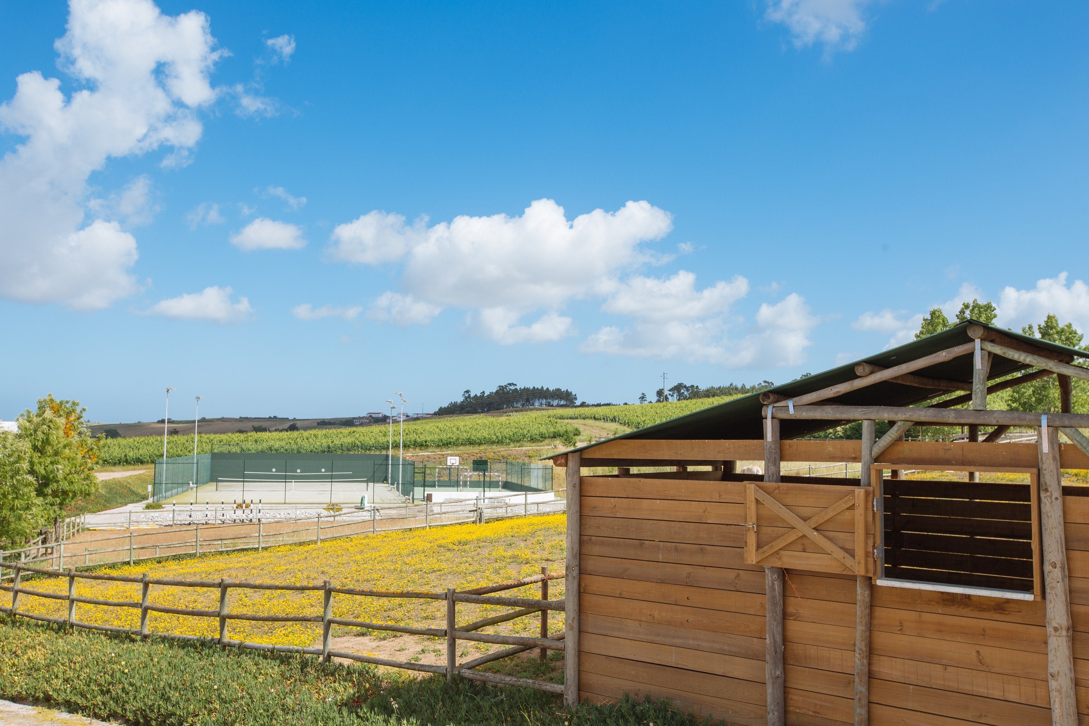 Portugal's Finest - horseXperiences™ GO EQUESTRIAN