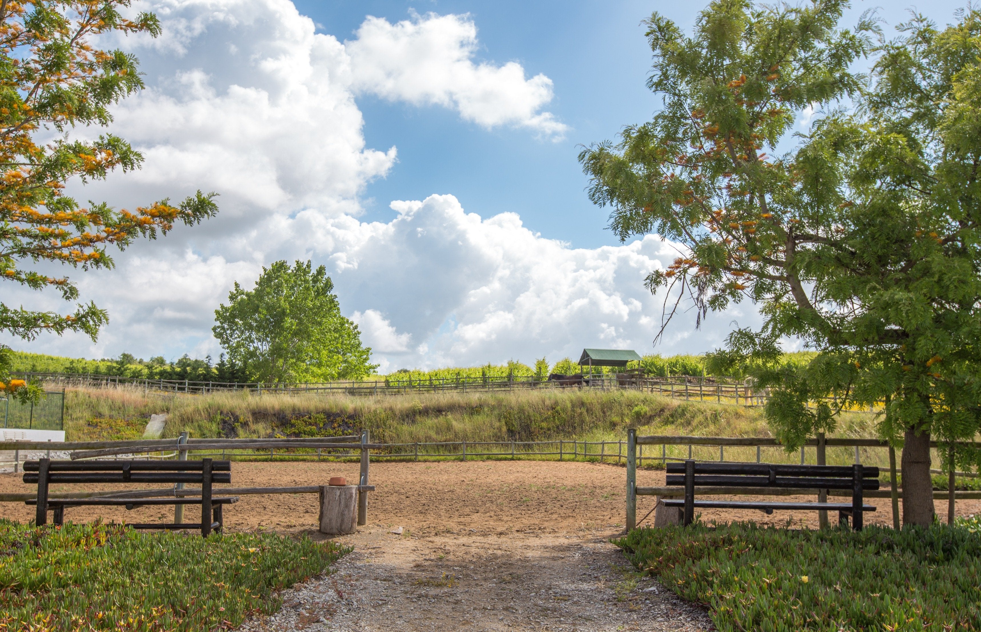 Portugal's Finest - horseXperiences™ GO EQUESTRIAN