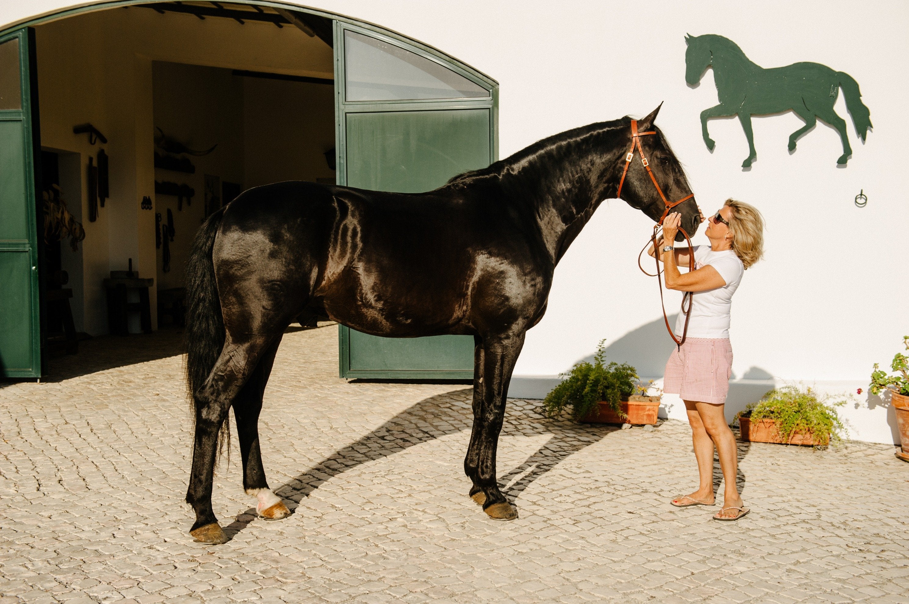 Portugal's Finest - horseXperiences™ GO EQUESTRIAN