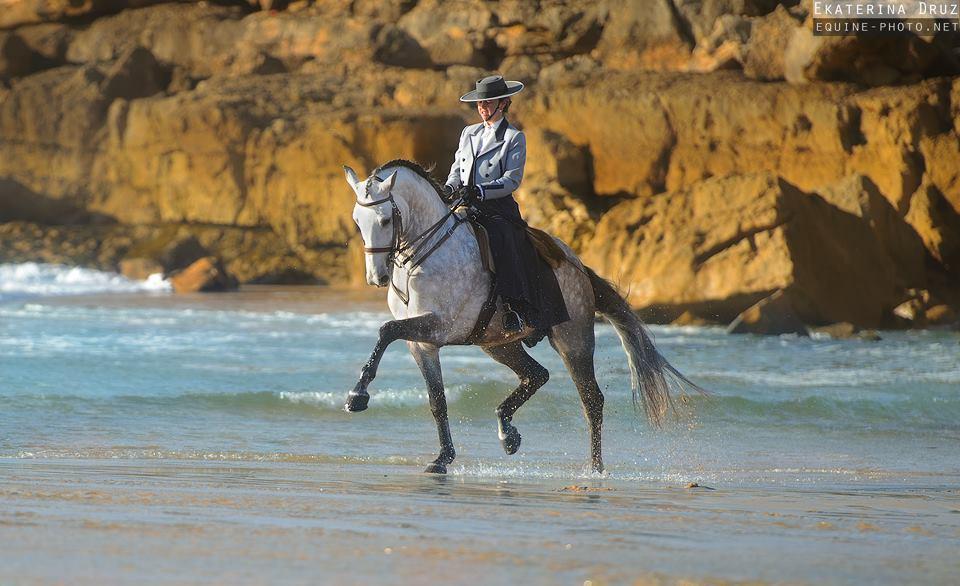 Lusitano Xperience - horseXperiences™ GO EQUESTRIAN