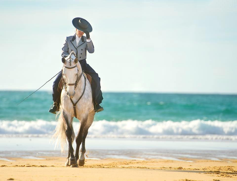 Lusitano Xperience - horseXperiences™ GO EQUESTRIAN