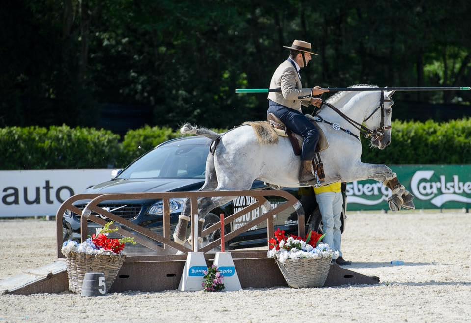 Lusitano Xperience - horseXperiences™ GO EQUESTRIAN