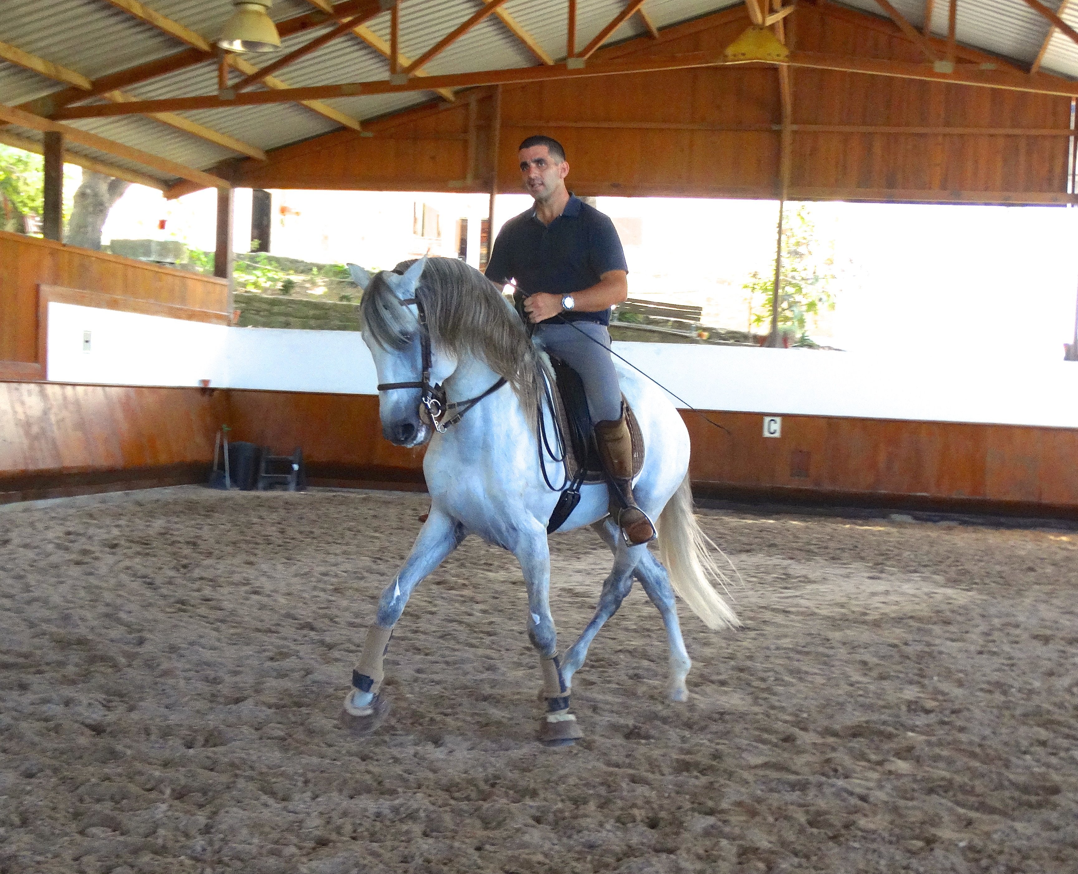 Lusitano Xperience - horseXperiences™ GO EQUESTRIAN