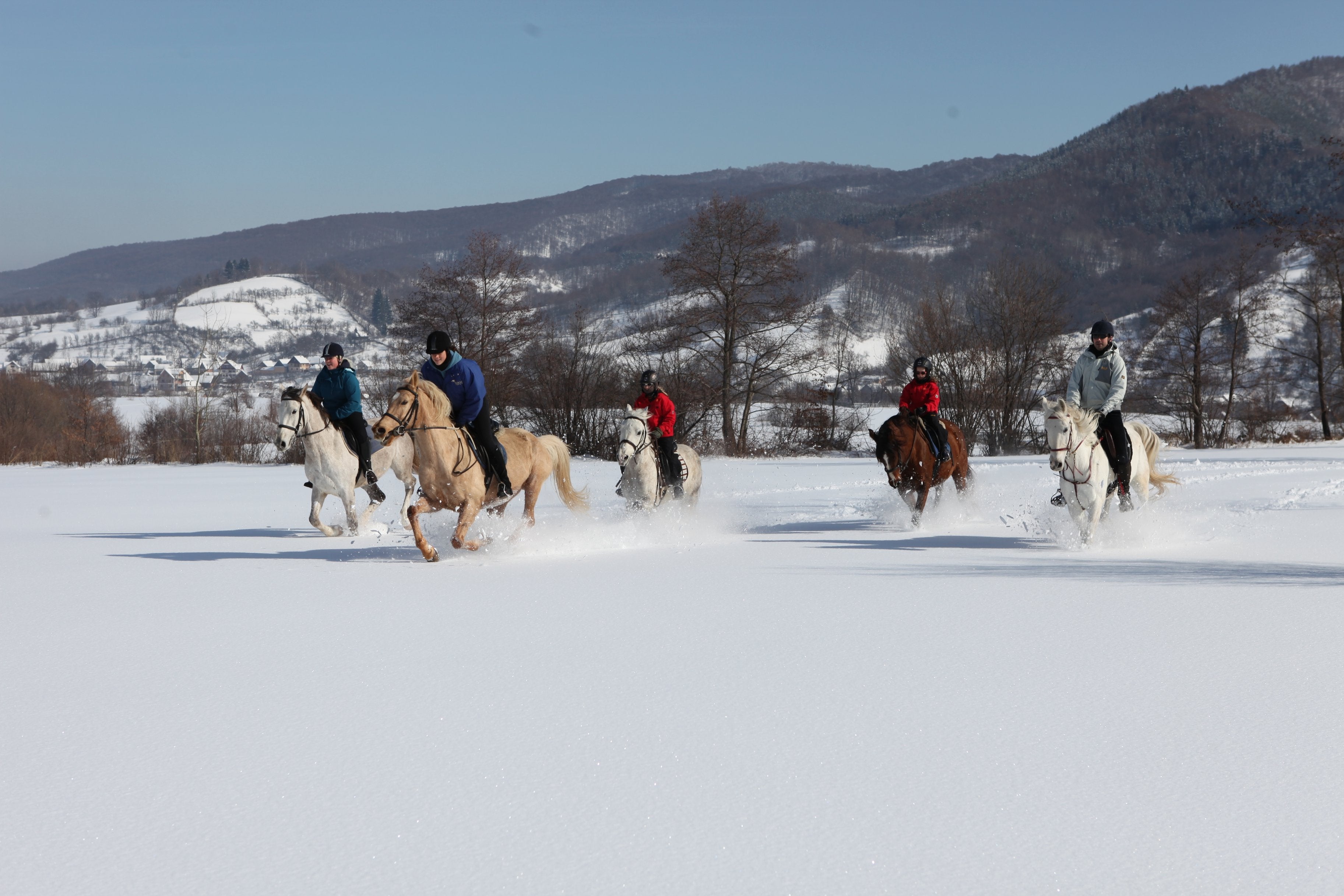 Transylvania Winter - horseXperiences™ GO EQUESTRIAN