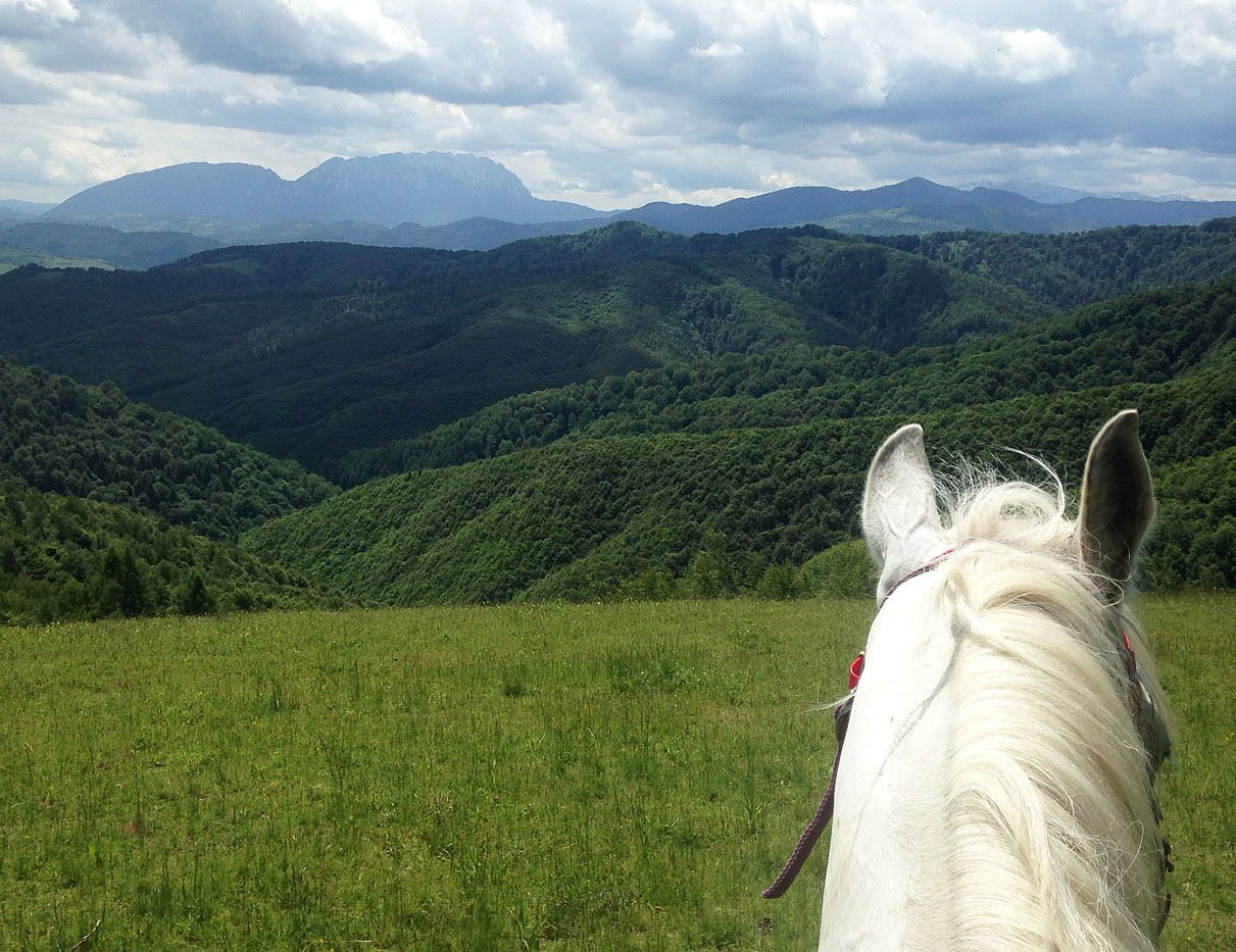 Carpathia Forests & Bears - horseXperiences™ GO EQUESTRIAN