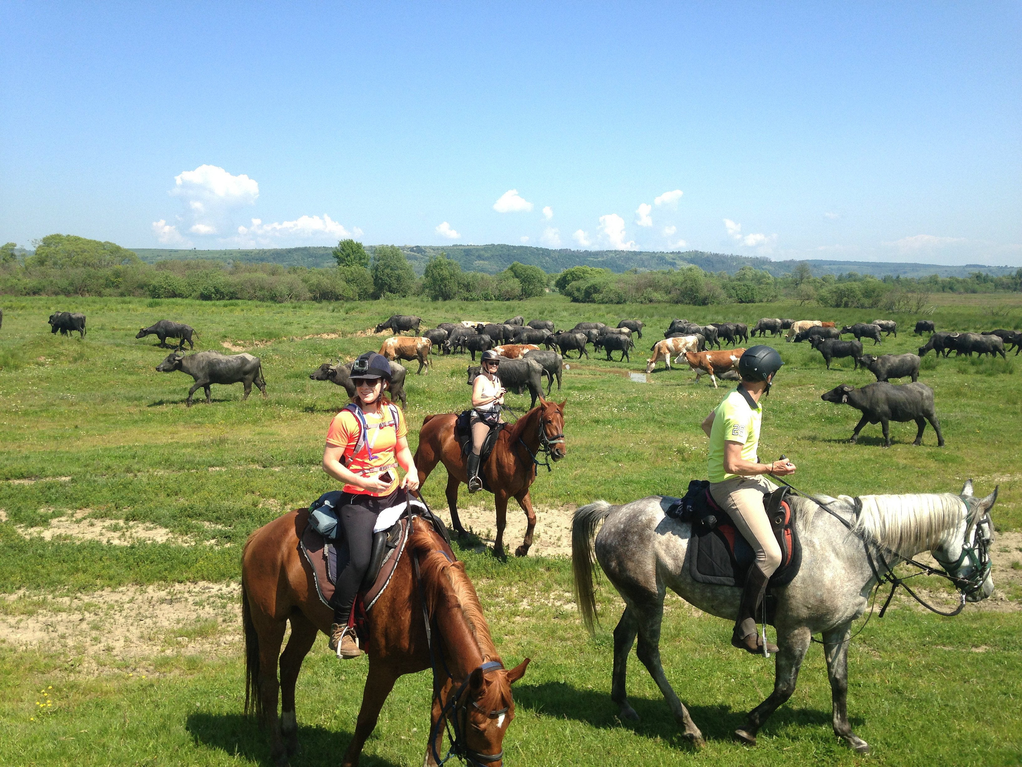 Transylvania Trail - horseXperiences™ GO EQUESTRIAN