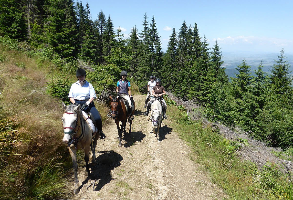 Carpathia Forests & Bears - horseXperiences™ GO EQUESTRIAN