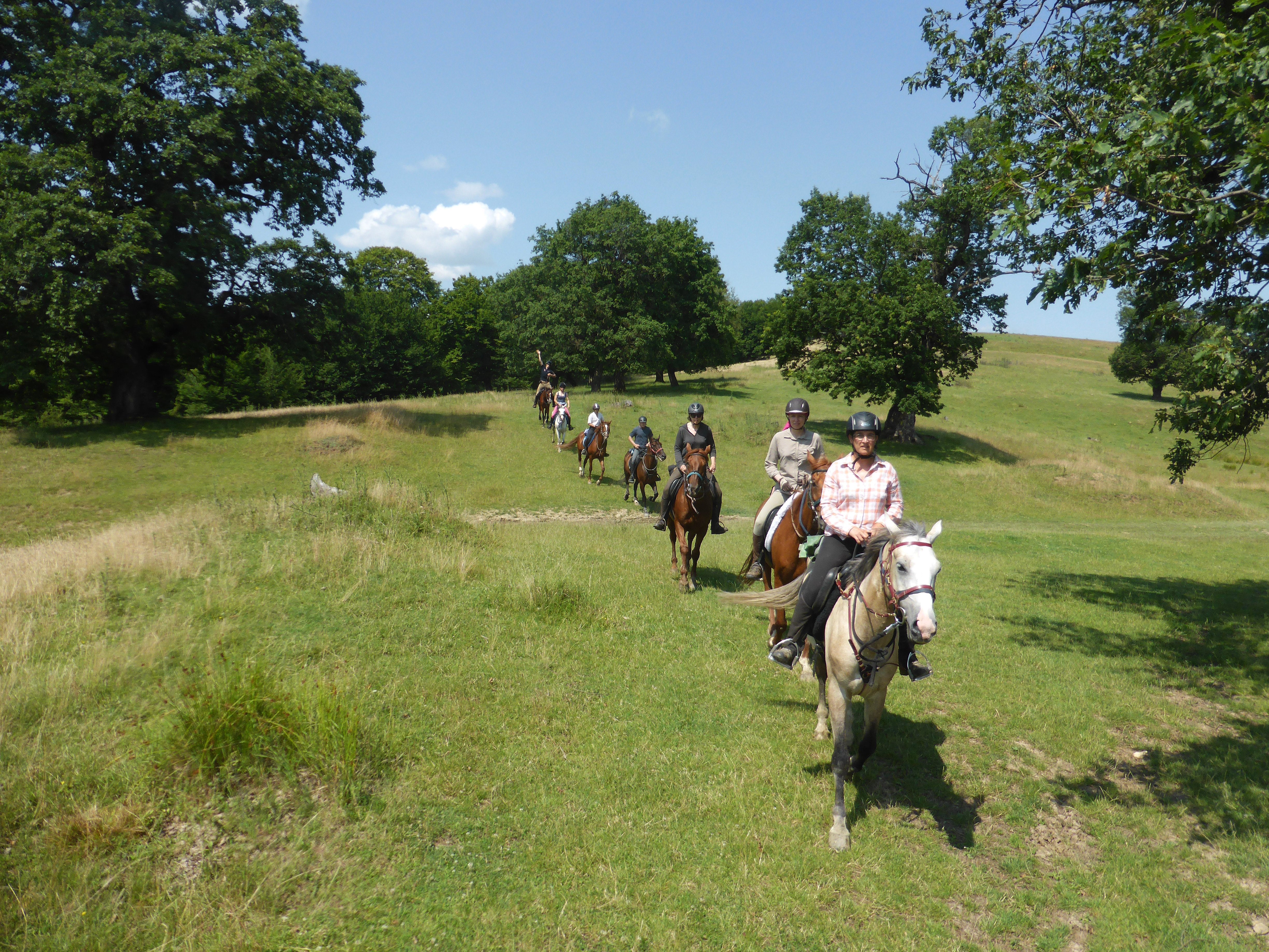 Transylvania Trail - horseXperiences™ GO EQUESTRIAN